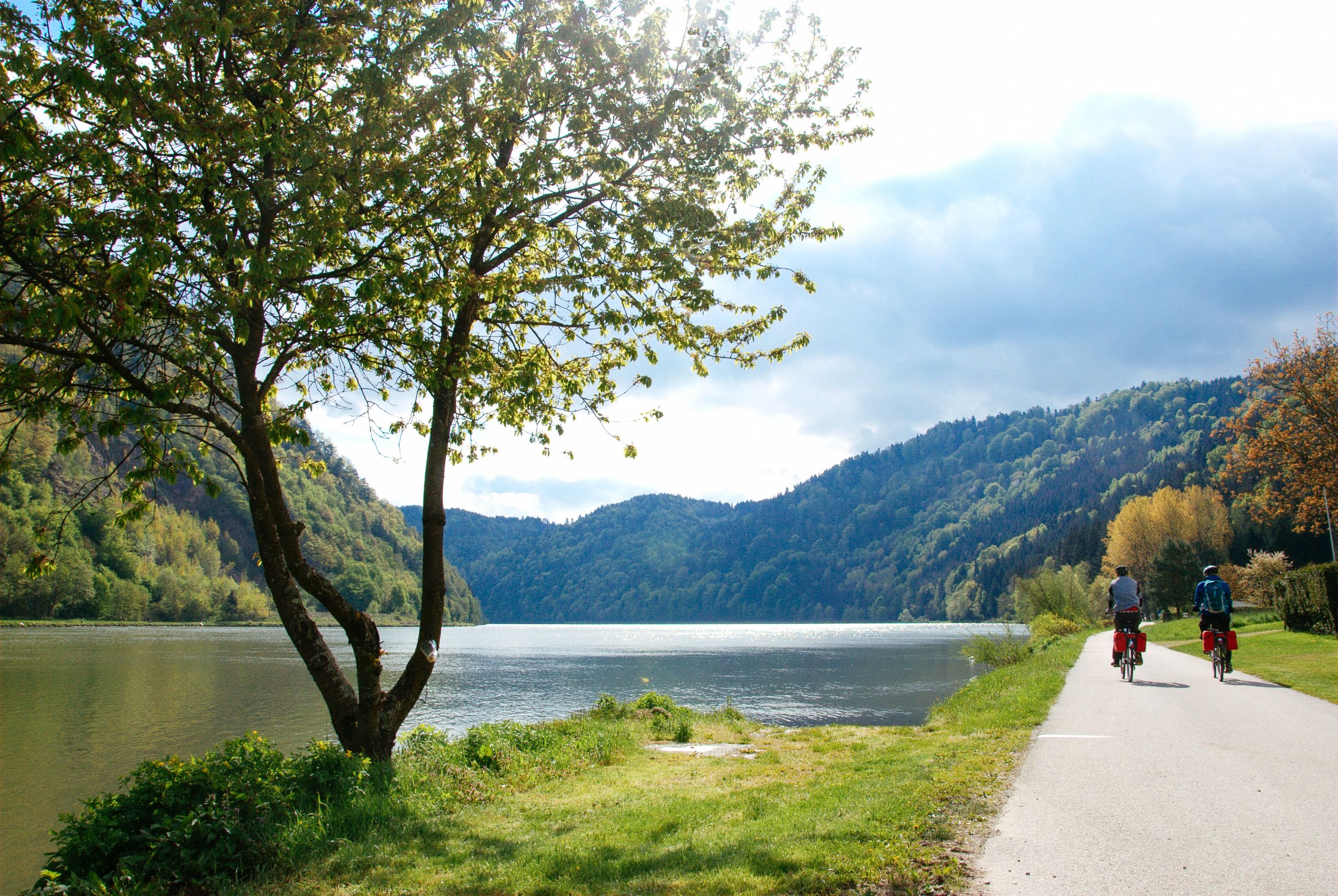 Couple of cyclists along a route surrounded by greenery from Passau to Vienna