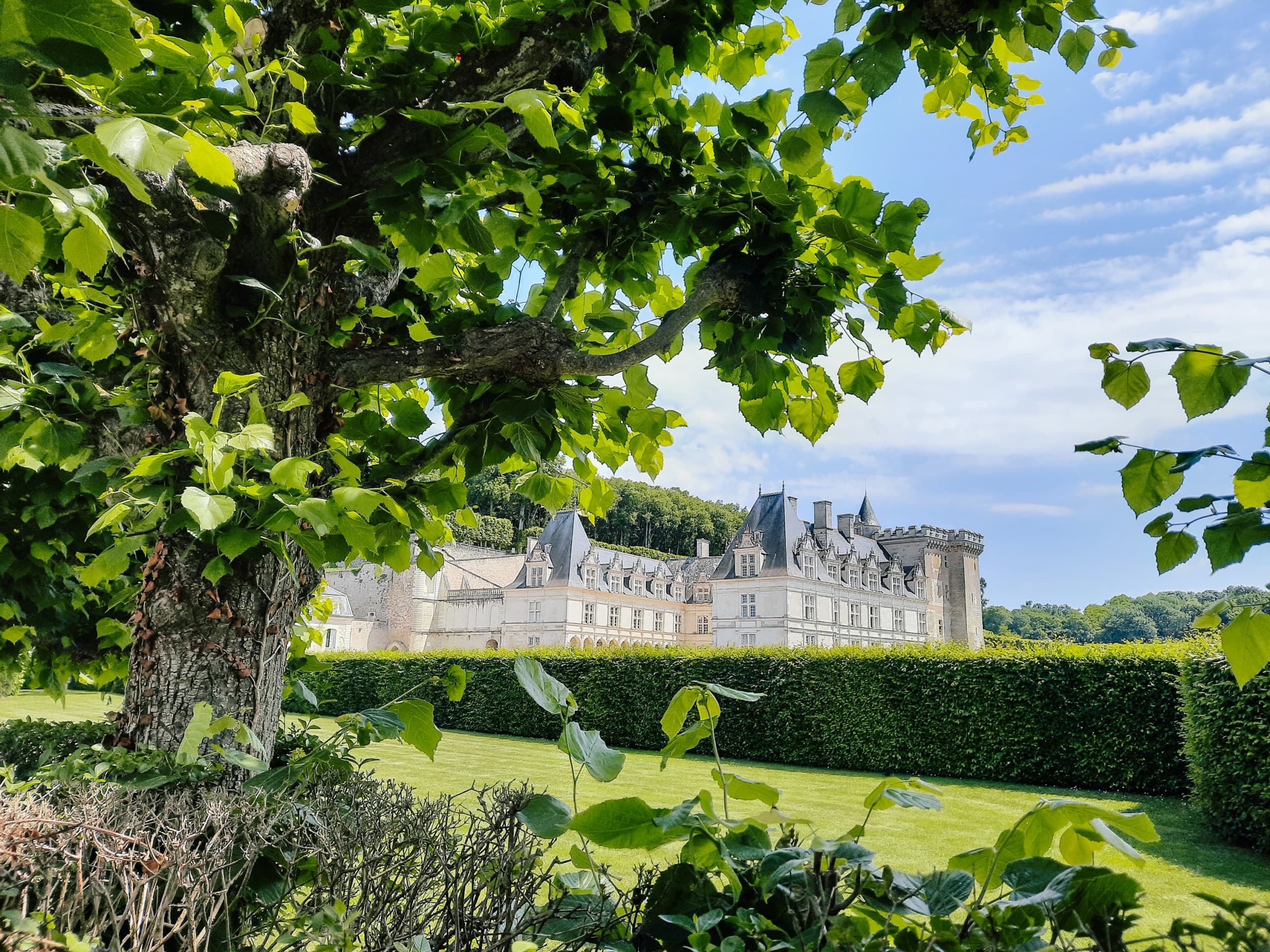 Castello di Villandry circondato da alberi e paesaggio verde