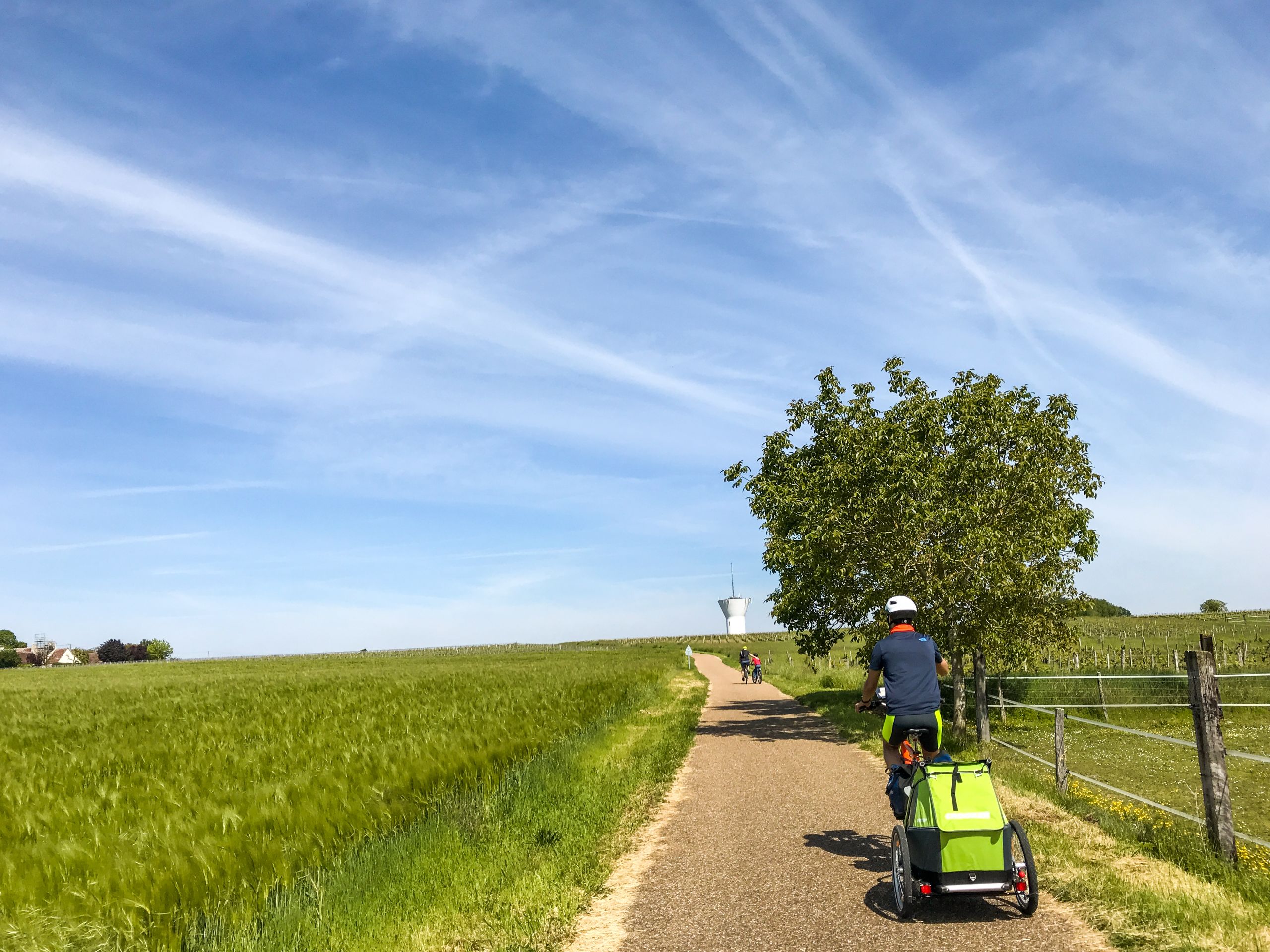 Radfahrer mit Kinderkarren auf einem Radweg zwischen grünen Feldern unter klarem Himmel im Loiretal.