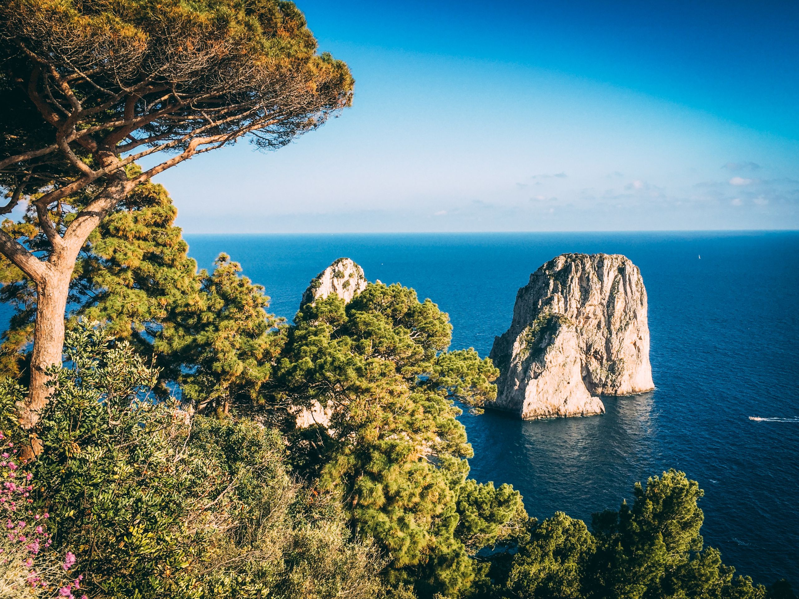 Veduta dei Faraglioni di Capri tra la vegetazione mediterranea, Italia.