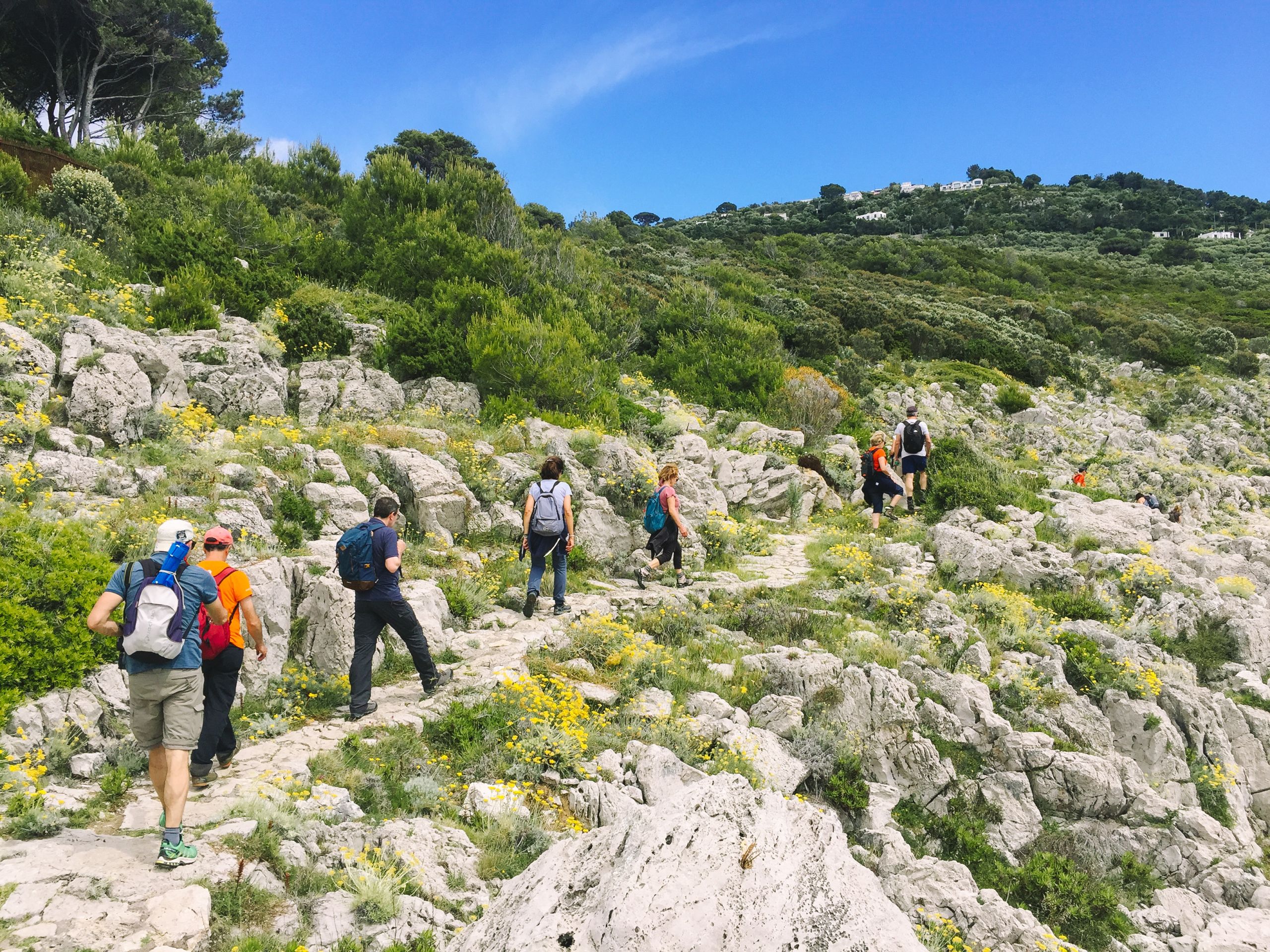 Gruppo di escursionisti camminano tra colline verdi a Capri