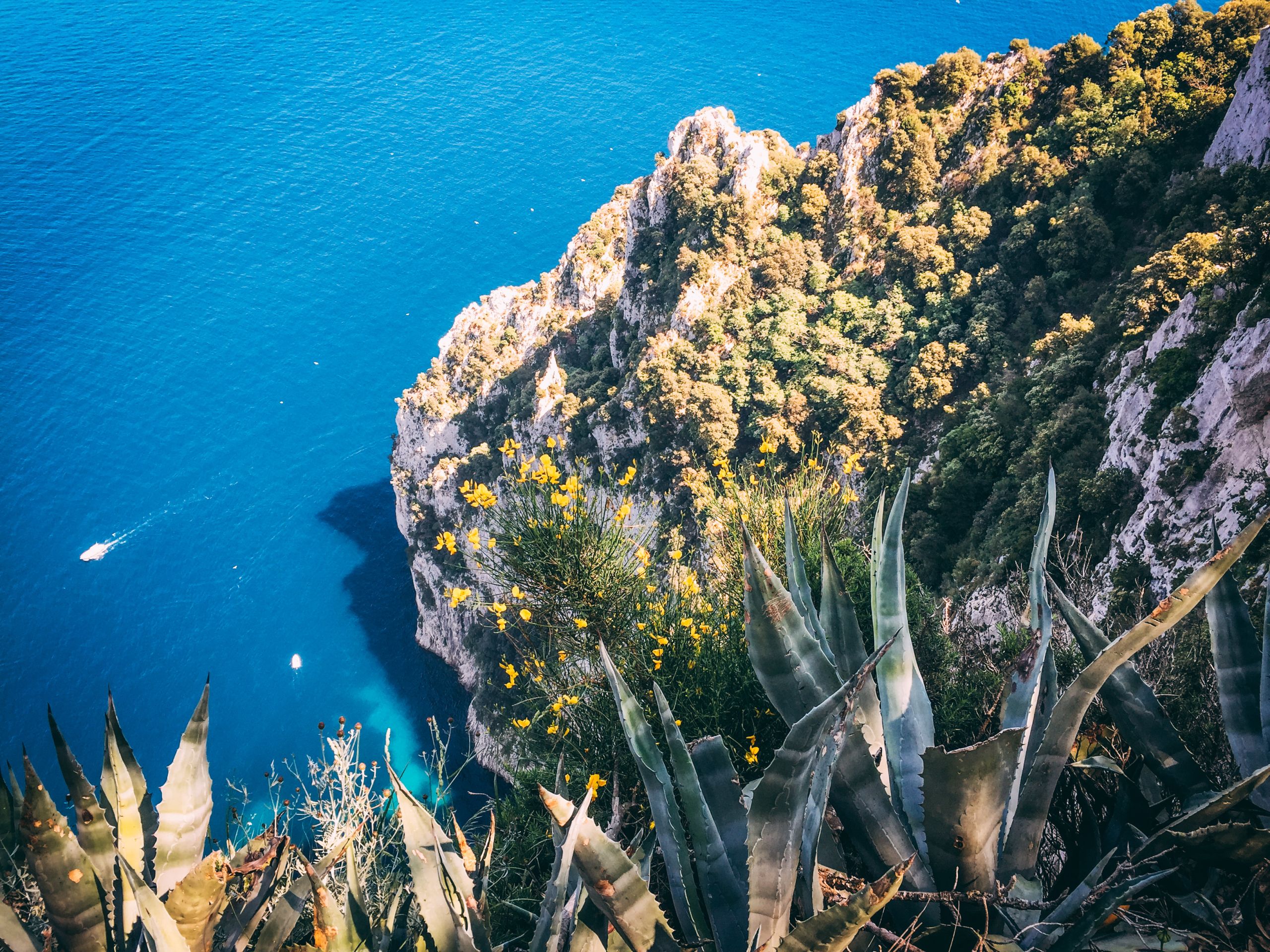 Vista panoramica sulla costa rocciosa dell'isola di Capri, Golfo di Napoli, Campania