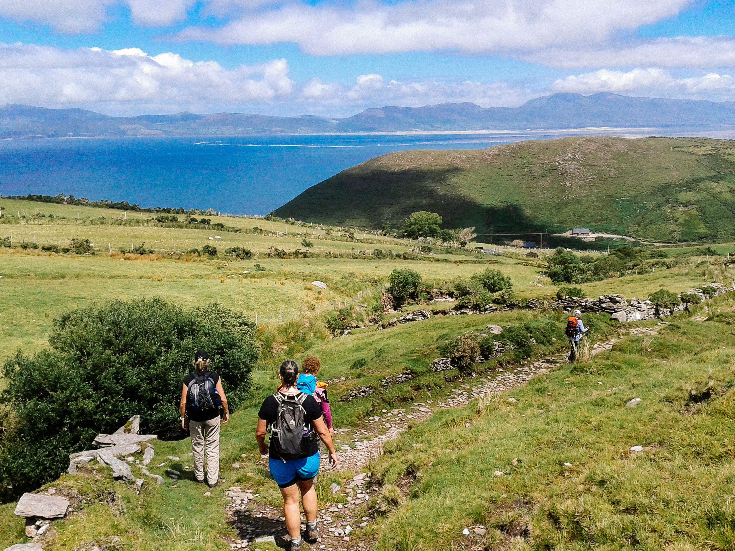 Escursionisti su un sentiero della Kerry Way, circondati da colline verdi.