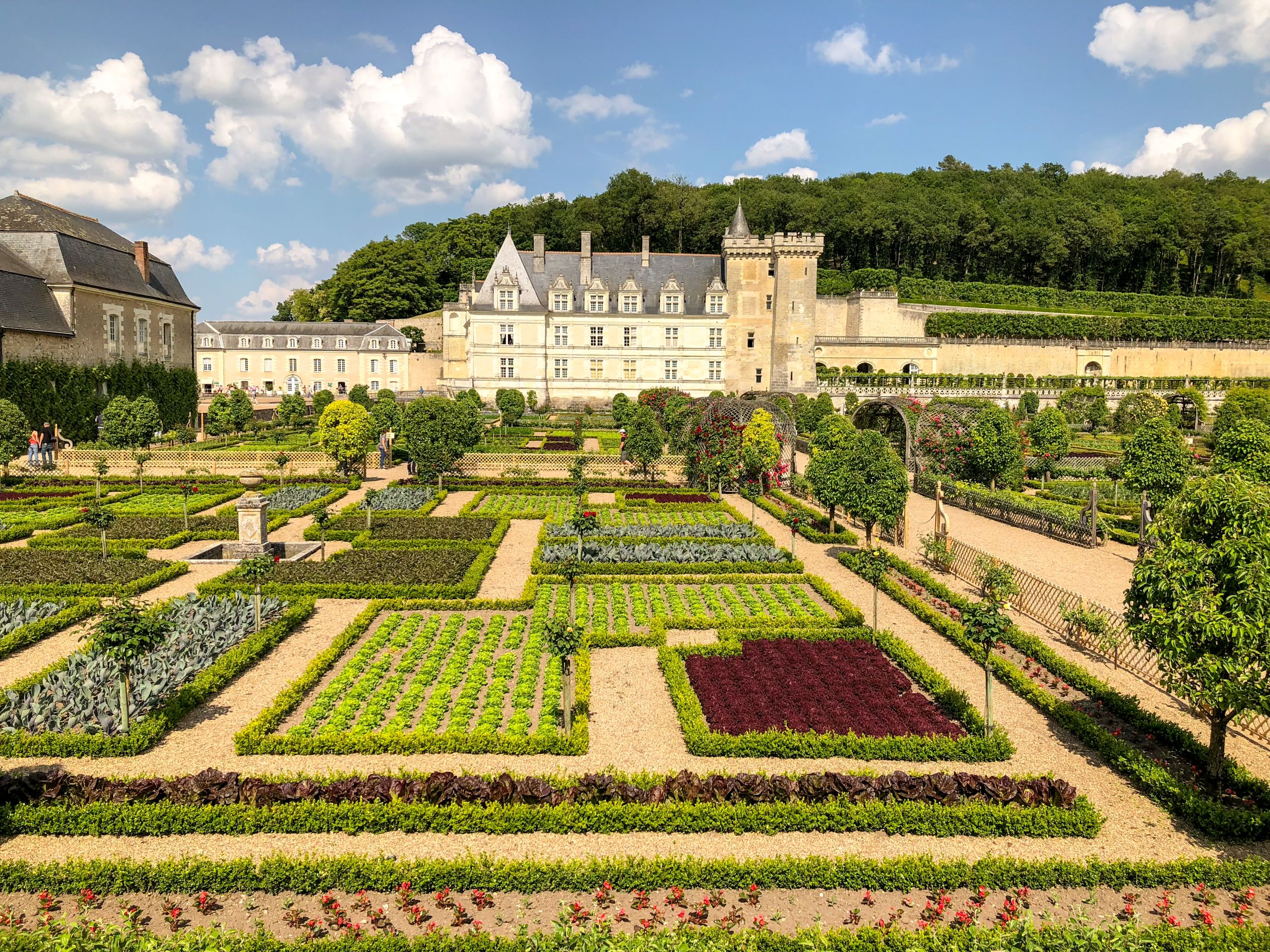 A grand view of formal gardens and a historic chateau in the Loire Valley