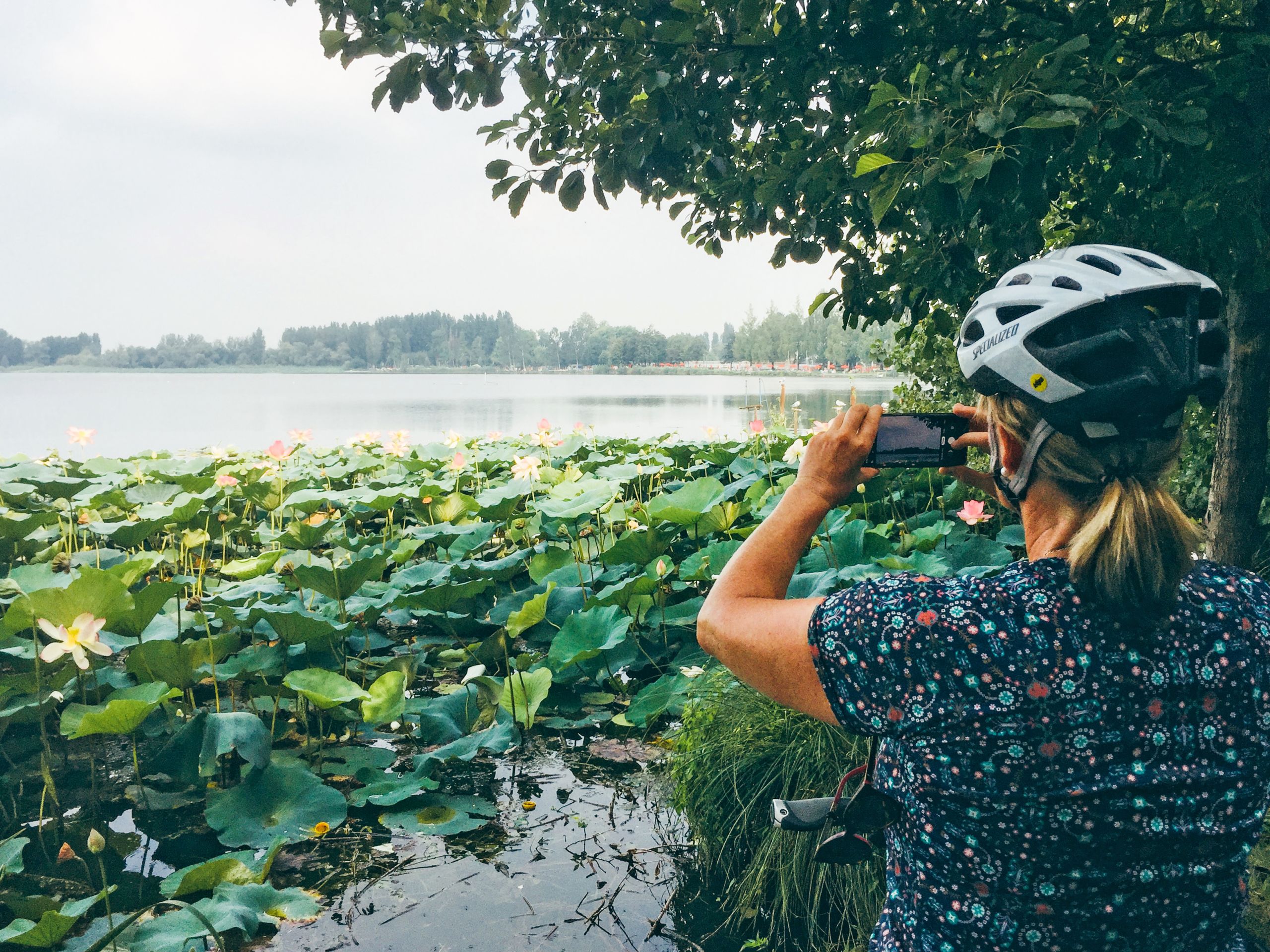 Ciclista che fotografa il paesaggio fluviale con ninfee, Mantova.