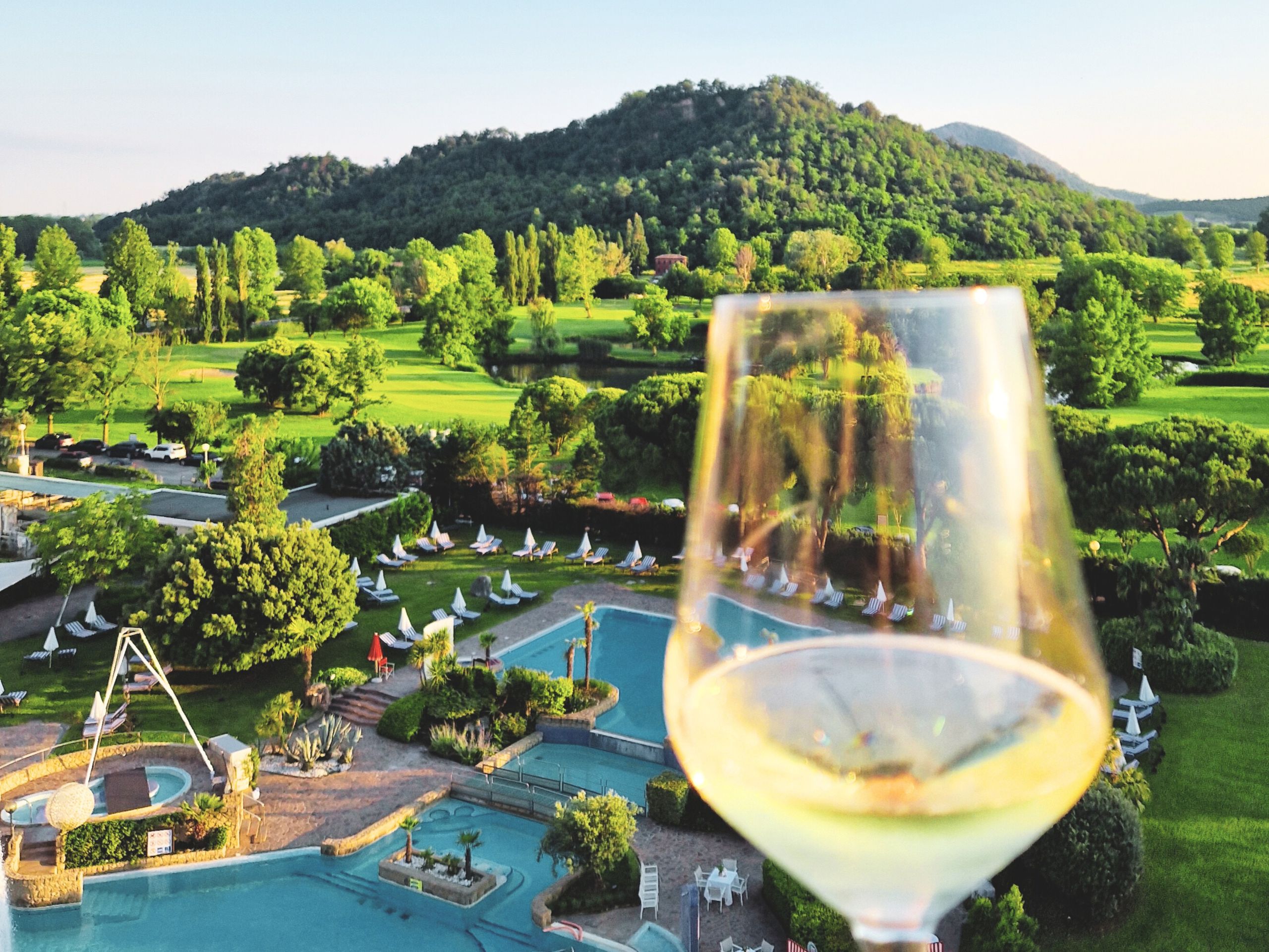 Glass of white wine with view of vineyards in Colli Euganei, wine tasting in Veneto.