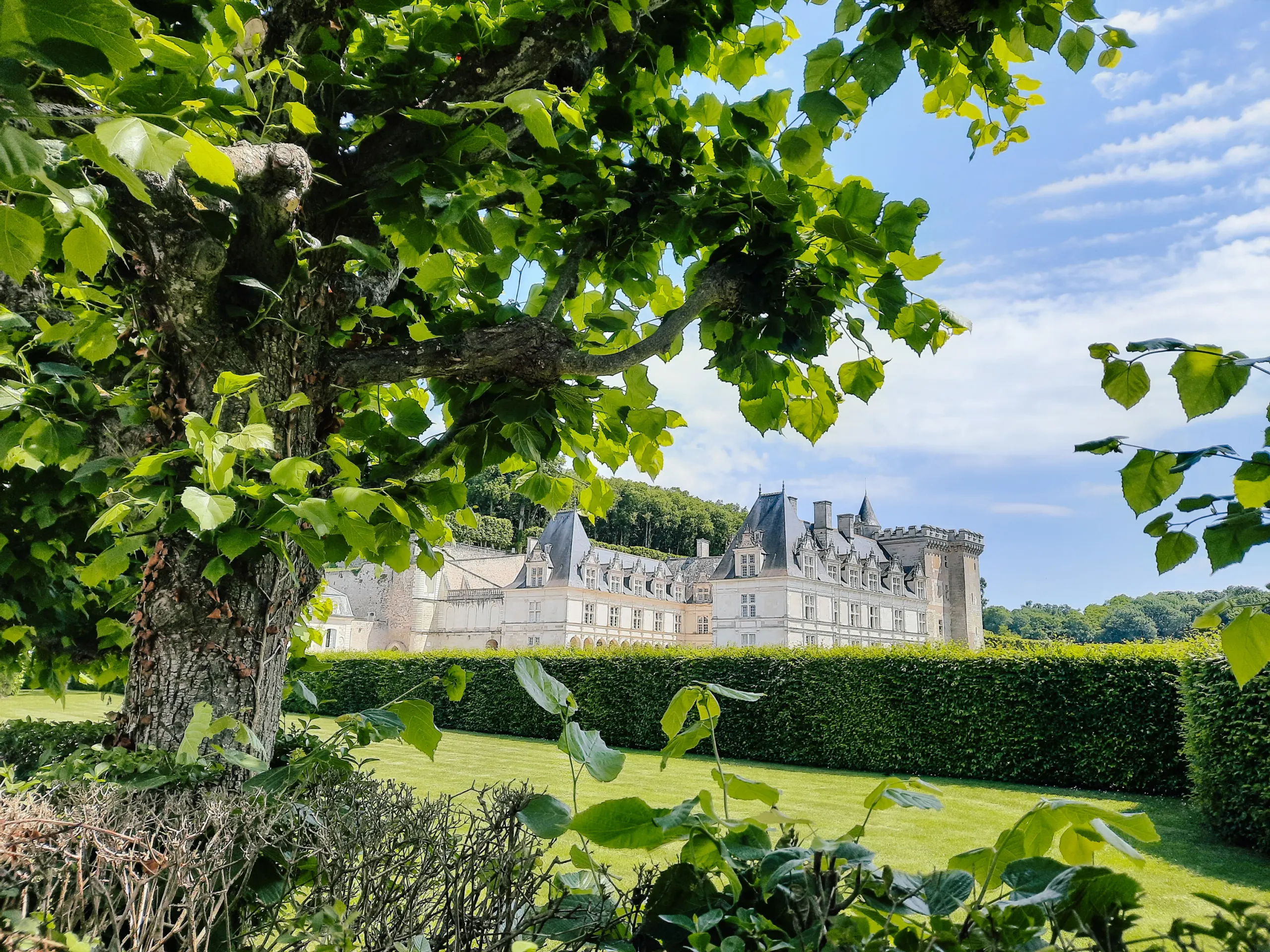 Castello di Villandry circondato da alberi e paesaggio verde
