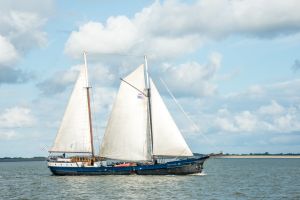 Wapen fan Fryslân