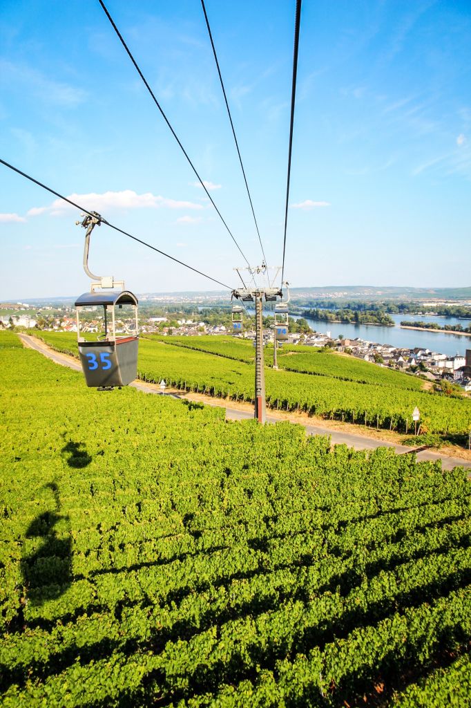 Seilbahn überquert Weinberge im Moseltal, Deutschland.