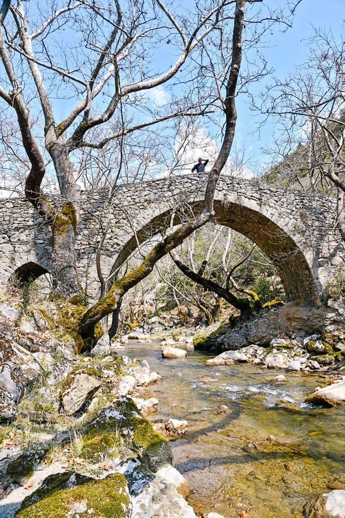 Ponte in pietra antico che attraversa un ruscello, circondato da alberi spogli.