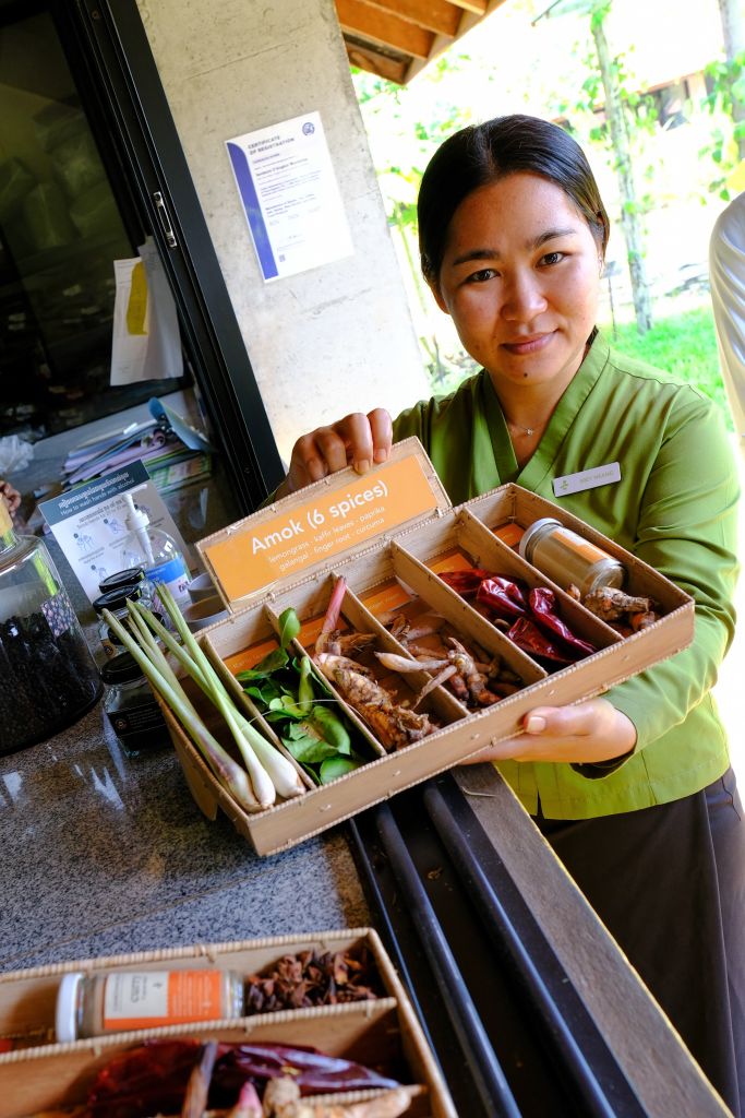 Donna cambogiana mostra spezie ed erbe locali