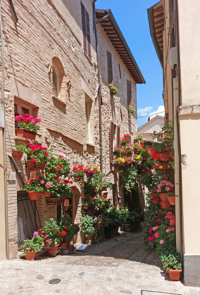 Strada fiorita con case in pietra e balconi decorati con piante, Assisi