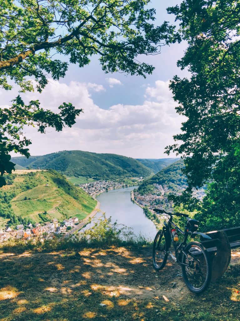 Landschaft des Moseltals mit Weinbergen und Wäldern, Deutschland.