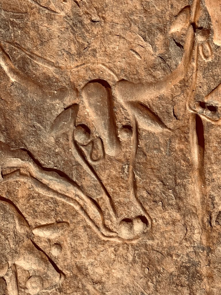 Algeria, dettaglio di un’incisione su pietra raffigurante un animale stilizzato.