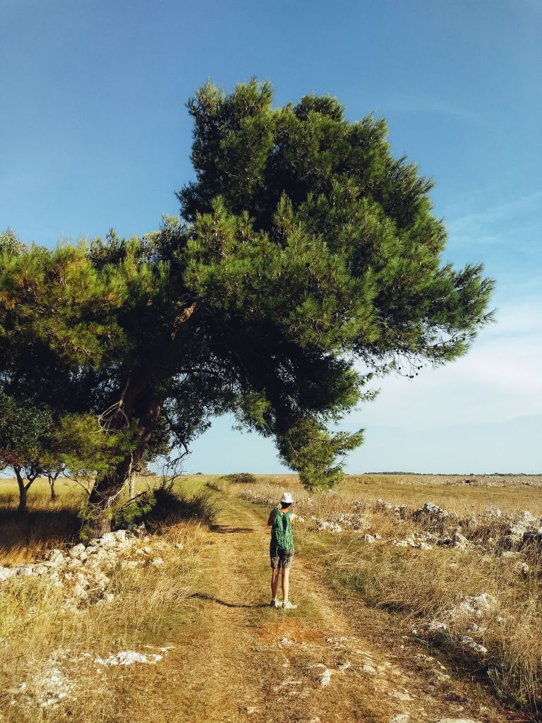 Escursionista lungo un sentiero nella campagna salentina vicino a un grande albero