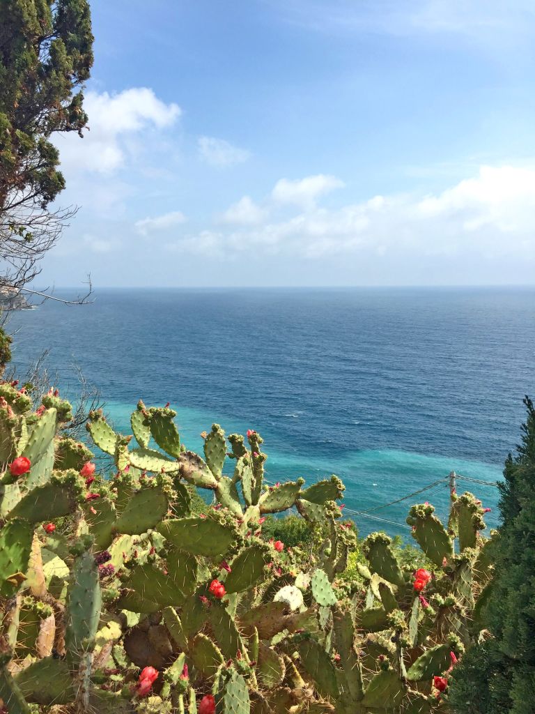 Vista del mare e della costa con vegetazione mediterranea, Corniglia, Cinque Terre, Italia