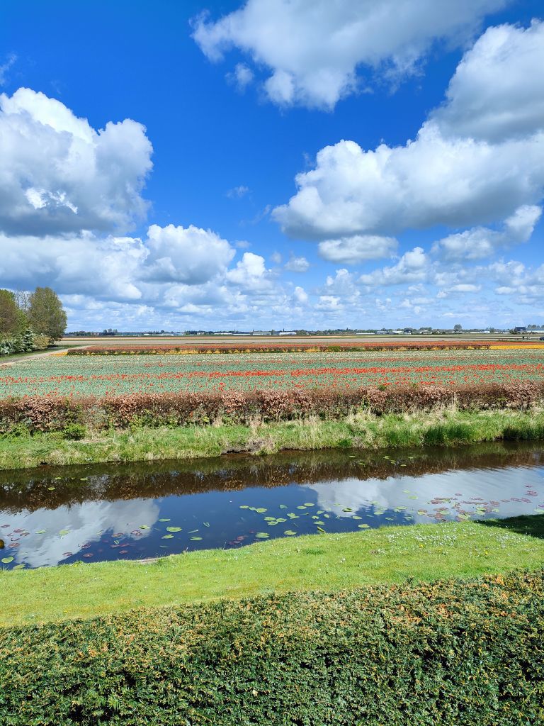 Paesaggio tipico olandese con canali e campi verdi sotto un cielo azzurro con nuvole bianche.