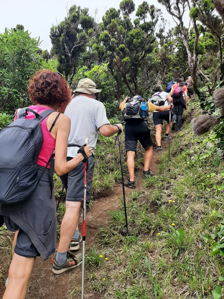 Escursionisti su un sentiero nella foresta di São Miguel, Azzorre.