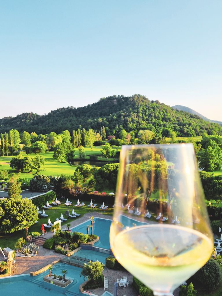 Glas Weißwein mit Panoramablick auf Hügel.