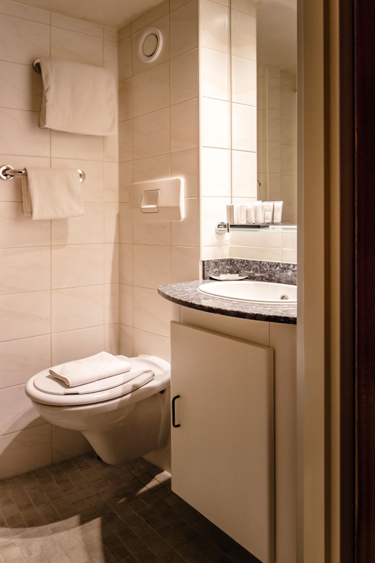 Bagno con toilette su una crociera fluviale.