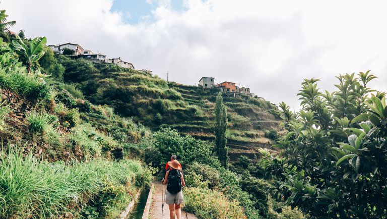 Escursionista su un sentiero tra le terrazze verdi di Madeira, trekking a Madeira 