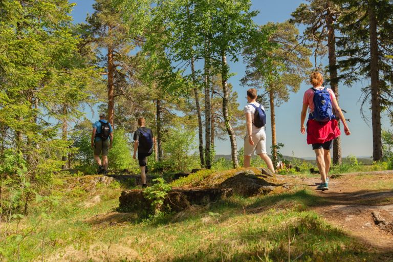 Gruppo in escursione nei boschi, circondati dalla natura in Norvegia.