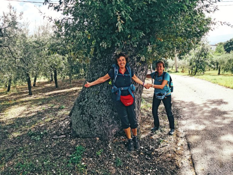 Due donne tra gli ulivi lungo un tratto del Cammino di Francesco vicino ad Assisi, viaggio trekking organizzato Girolibero.