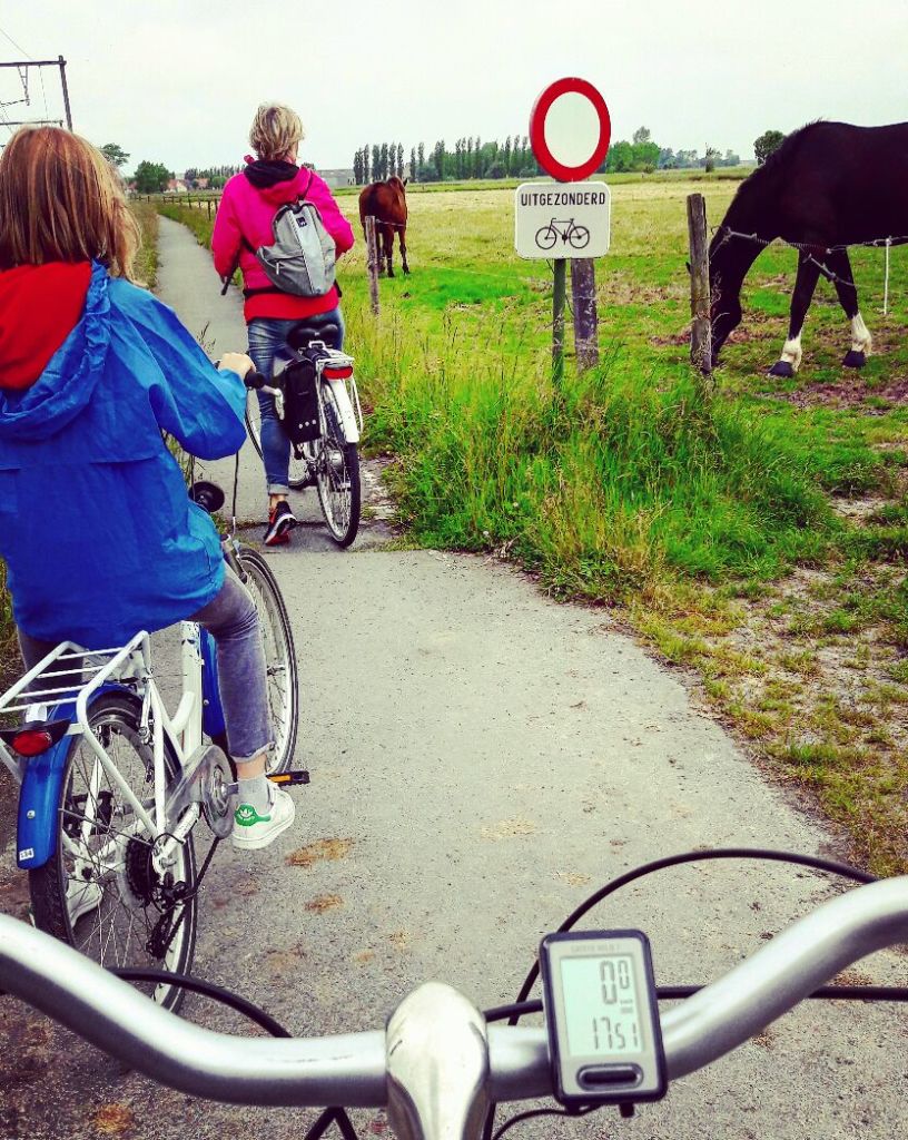 Famiglia su un percorso ciclabile nella campagna fiamminga, prati verdi e cavalli al pascolo