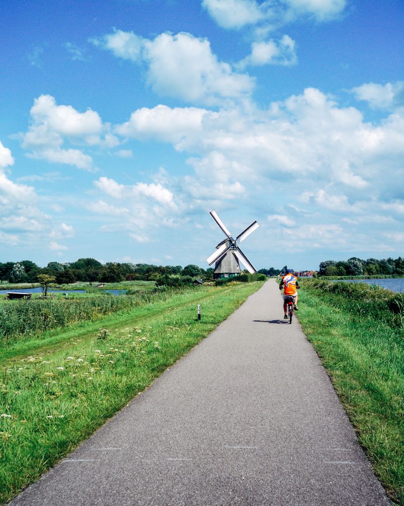 Bike path through green fields with windmills, Netherlands.