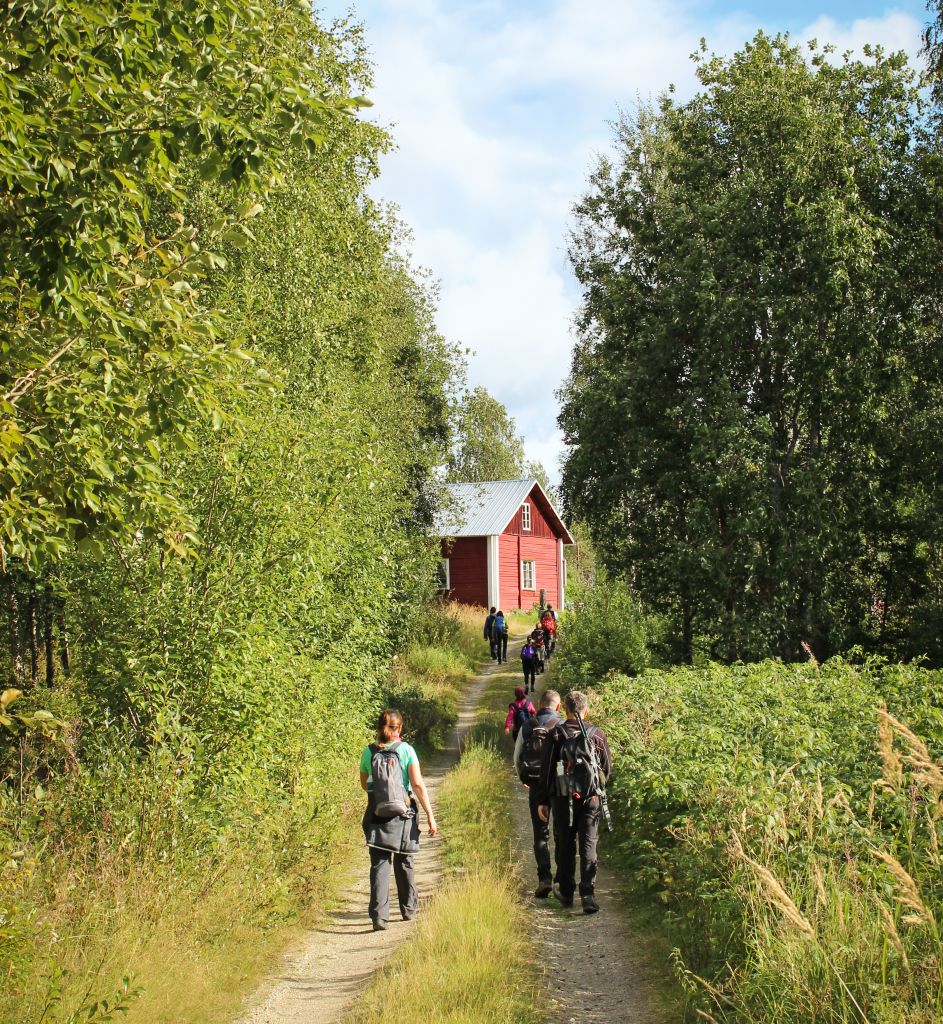 Escursionisti lungo strada sterrata immersa nel verde in Finlandia, viaggio tra natura e silenzio