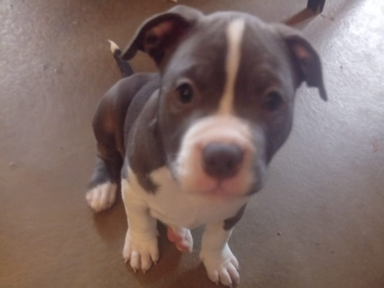 Blandras · 2025-11-10 · Vingåker · Mikael N.