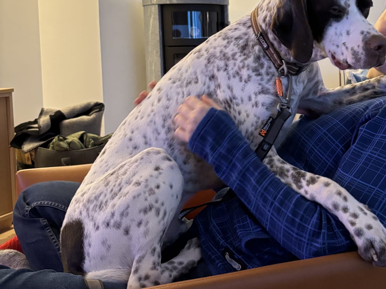 Pointer · 2025-04-05 · Drammen · Anders Johan I.