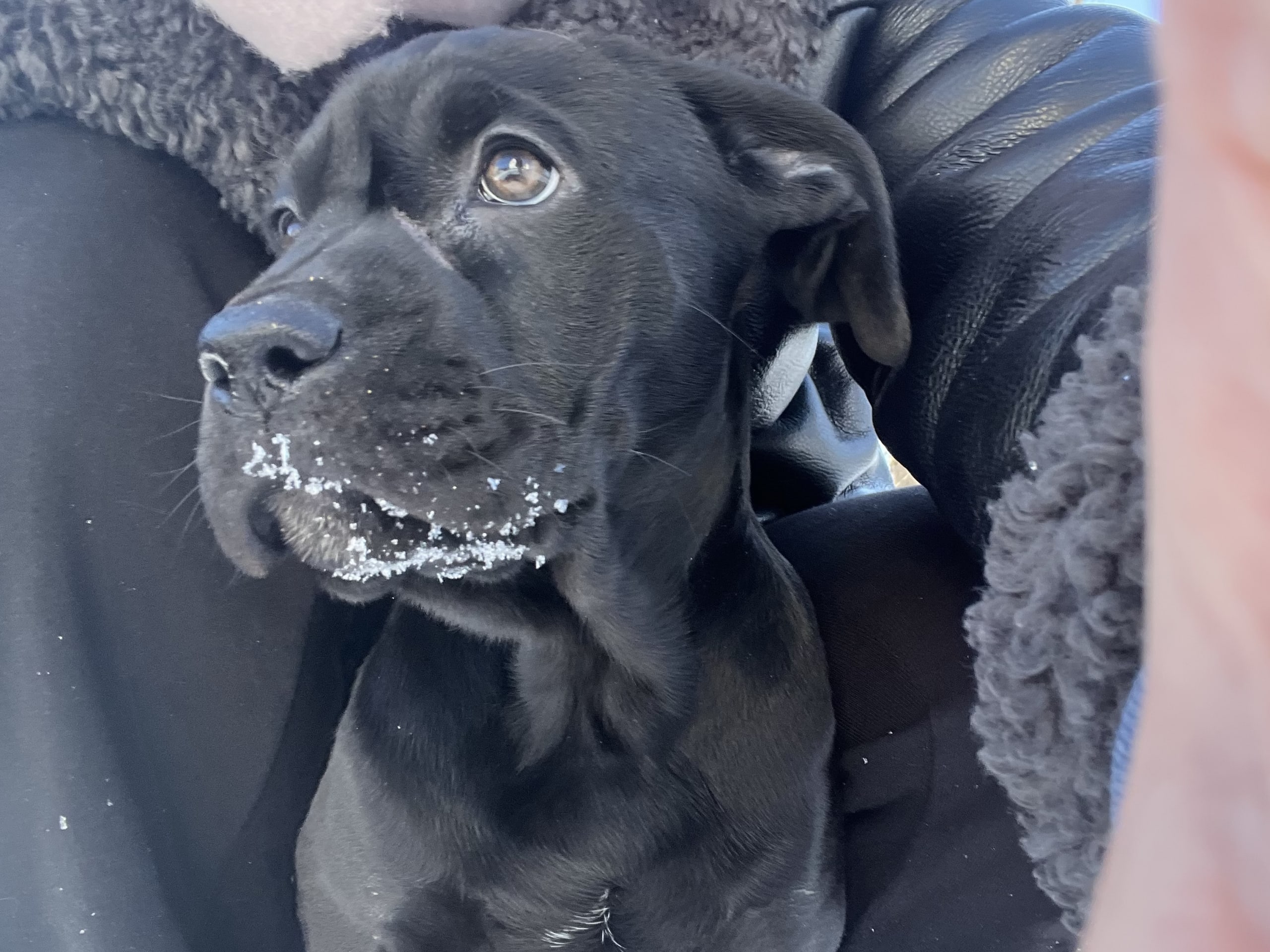 Blandras · 2025-12-07 · Frillesås · Weronika Z.