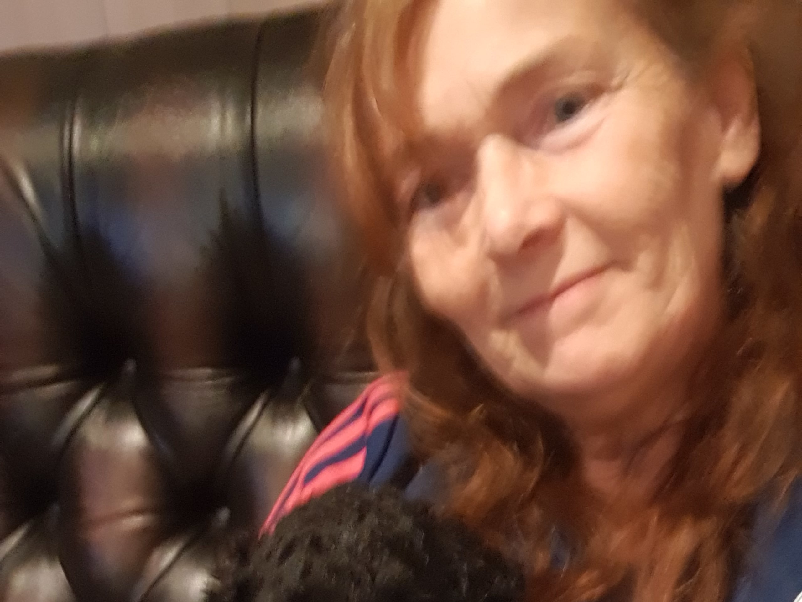 Curly Coated Retriever