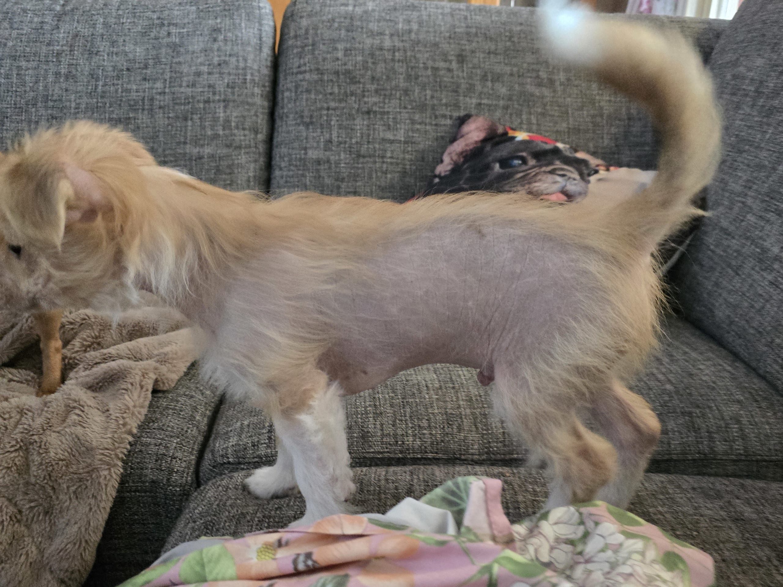 Blandras · 2025-10-15 · åstorp · Sarah H.