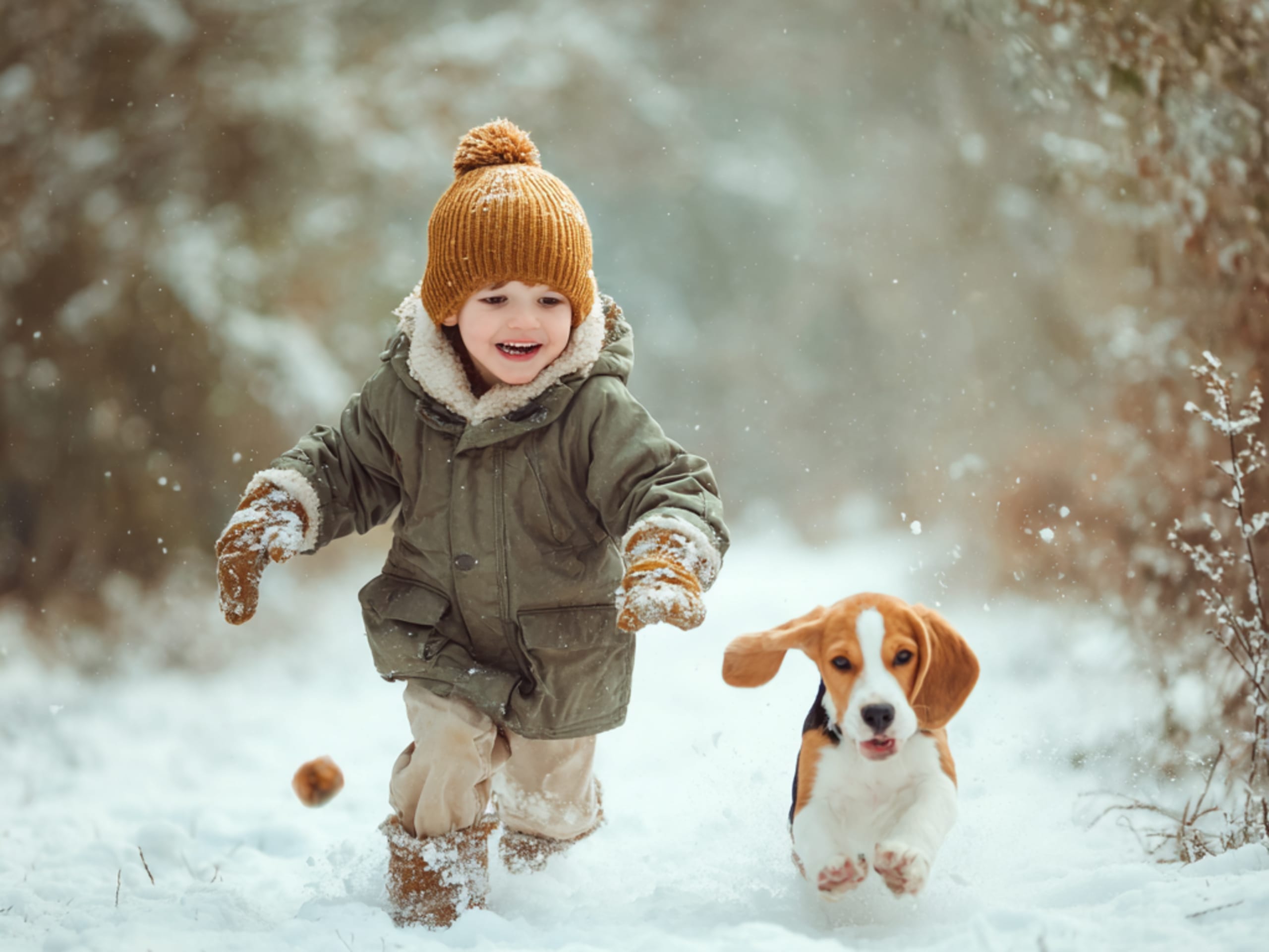 Puppy and kid playing