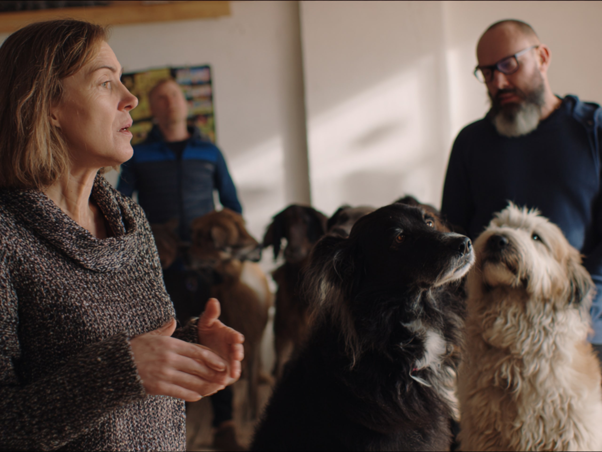 Talking to breeders and other experts