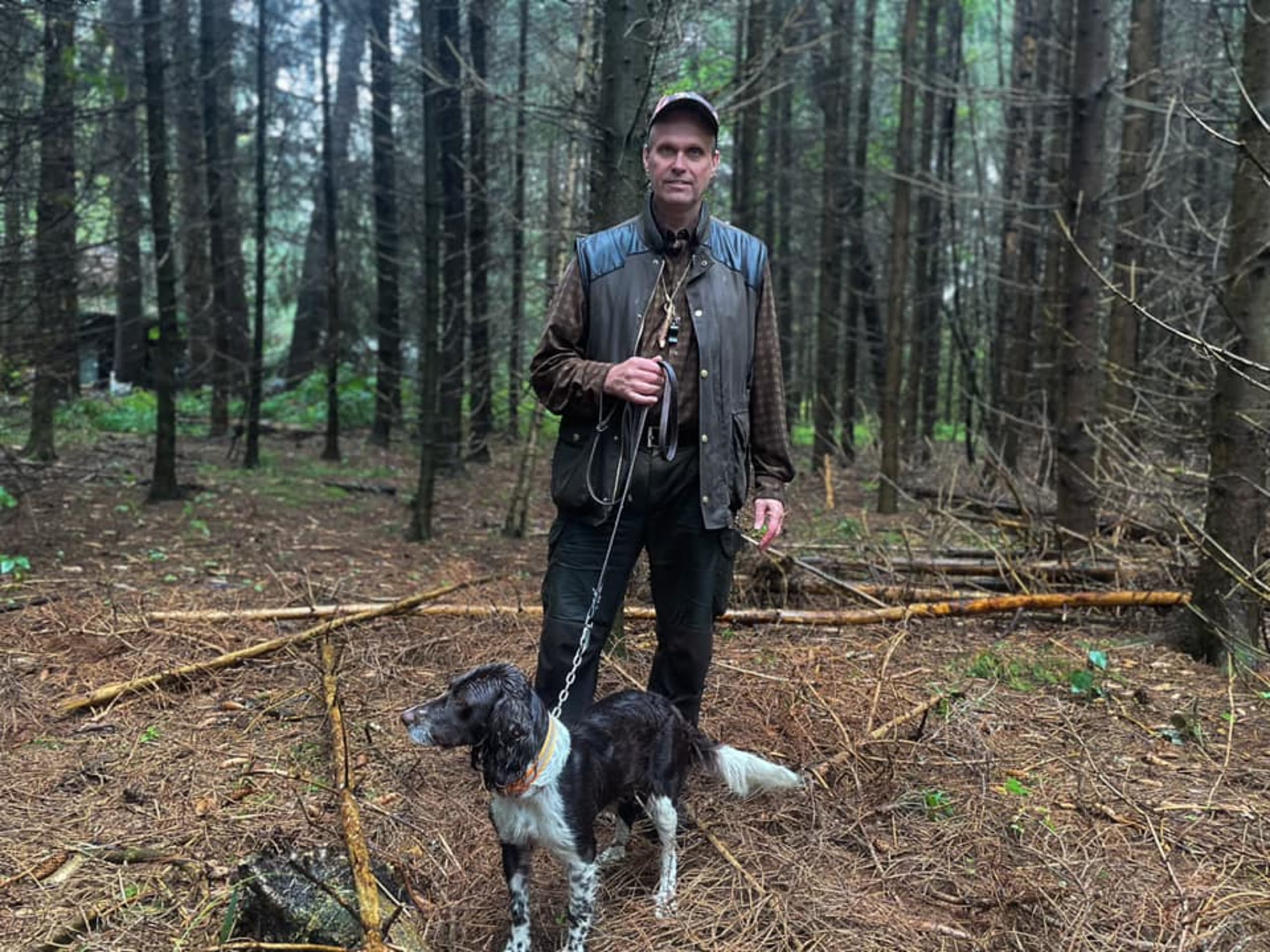 German Spaniel (Wachtelhund) · 2026-04-16 · Uddevalla · Krullos