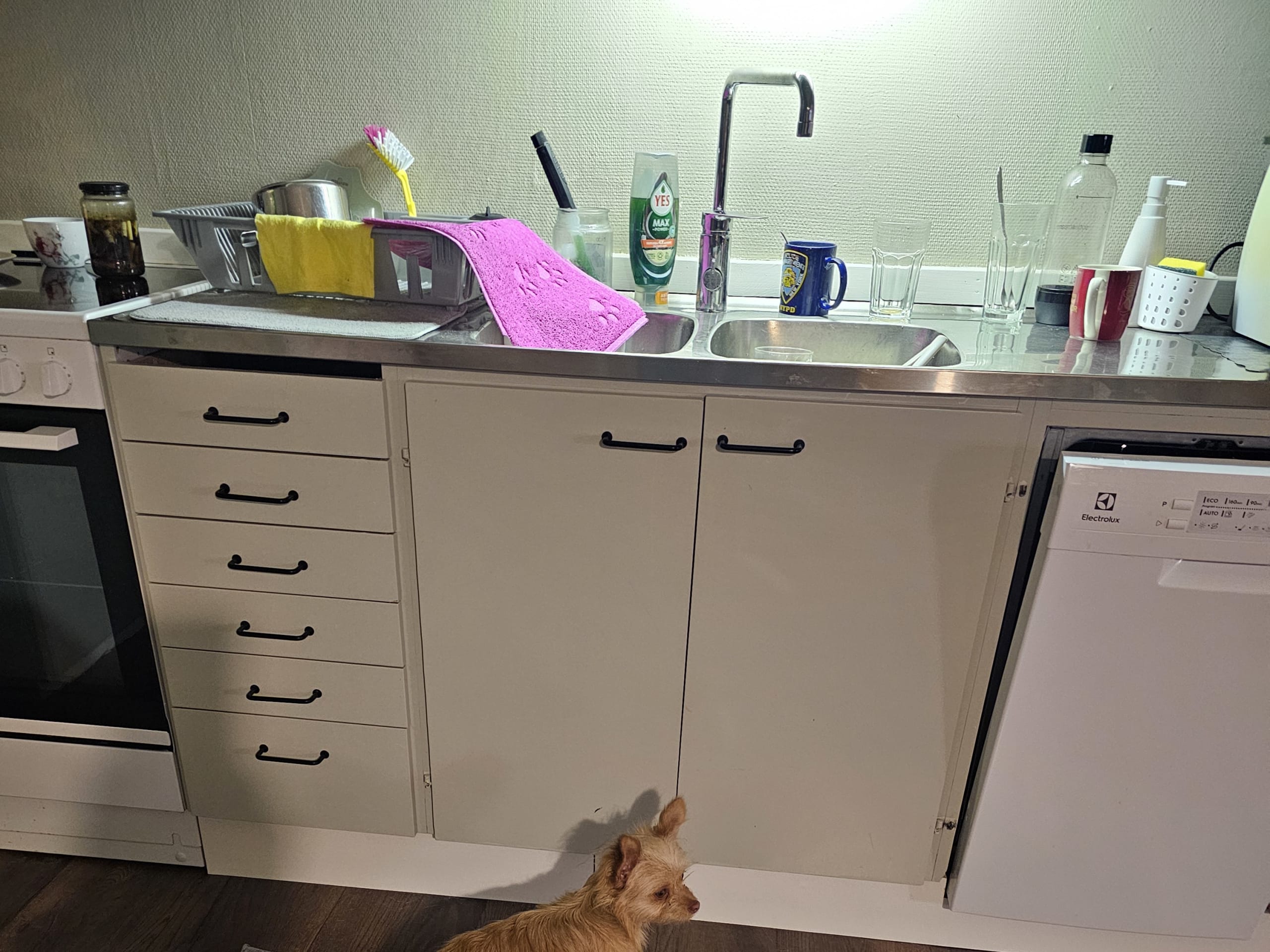 Blandras · 2025-08-26 · Överlida · Carina A.