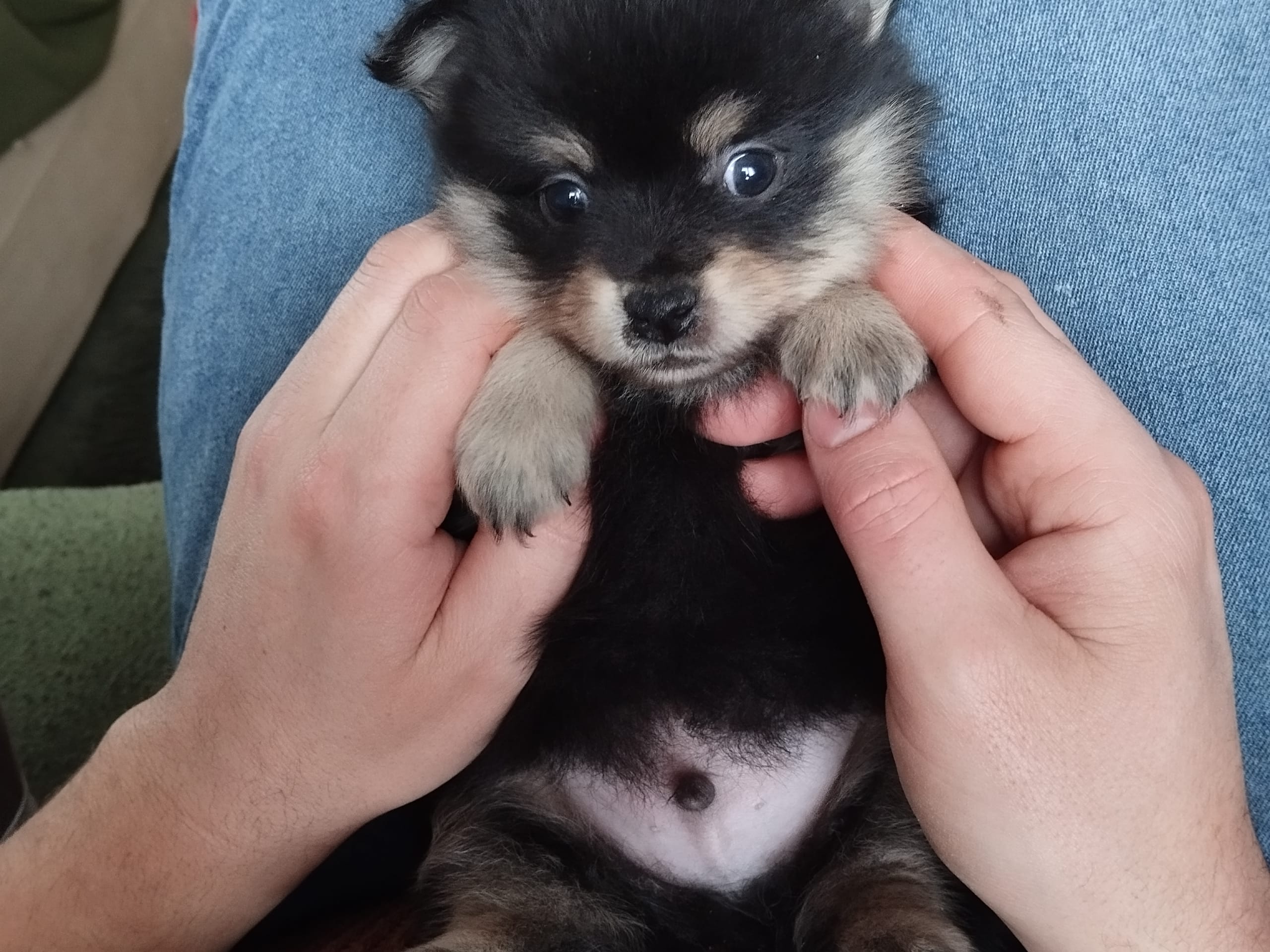 Tysk spets – mittelspitz