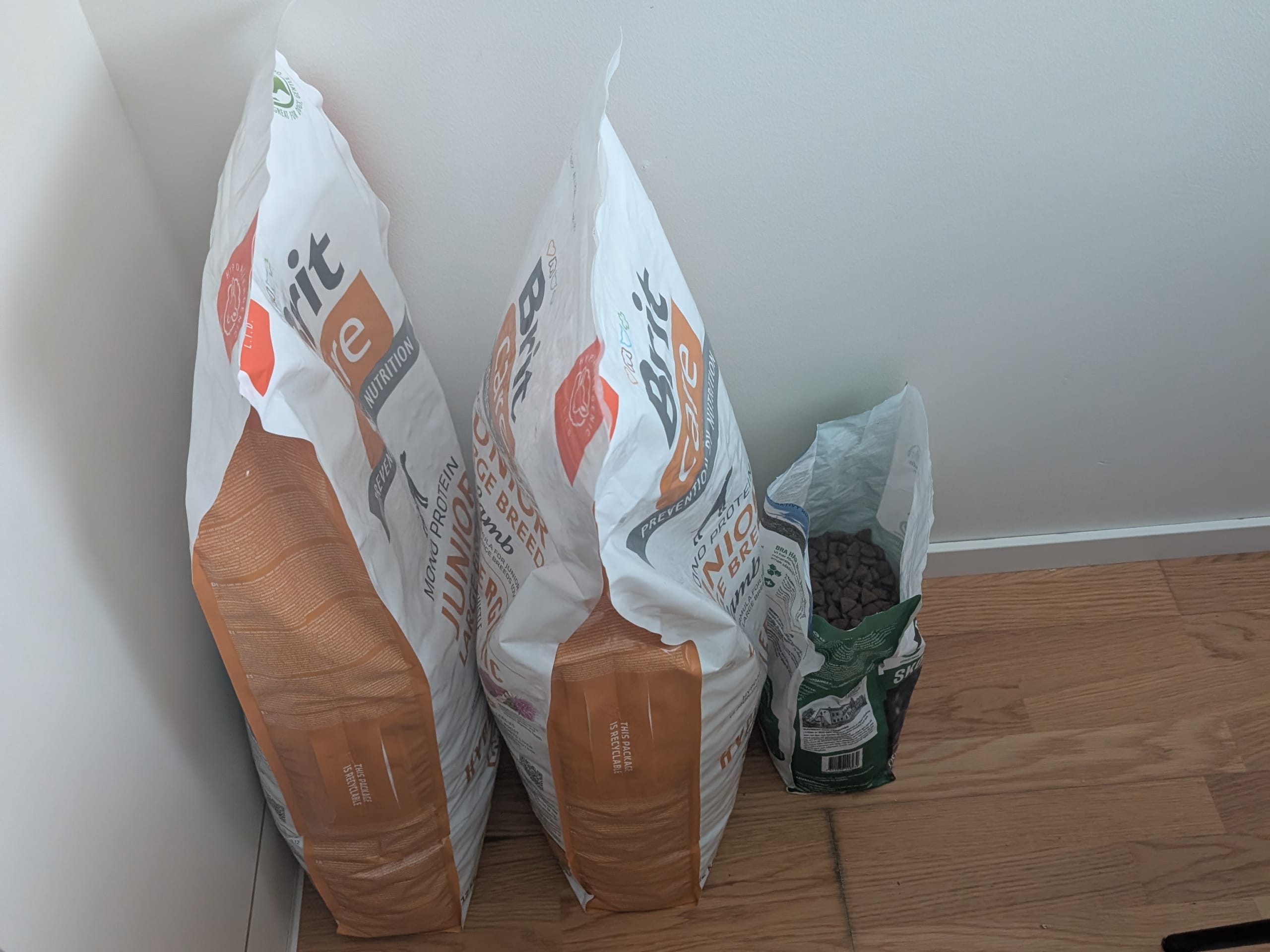 American Bully · 2025-06-09 · Norrköping · Jonathan B.