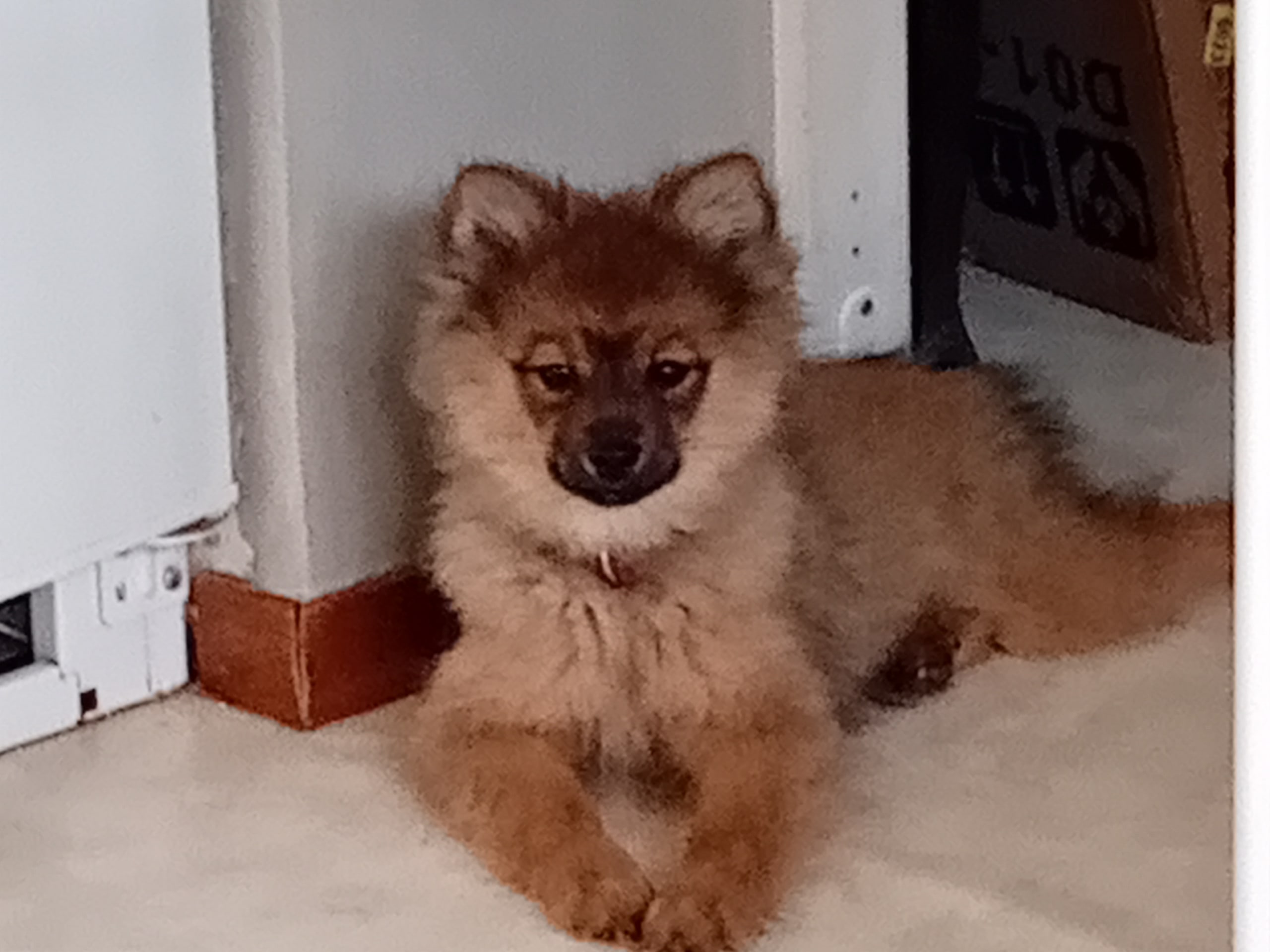 Tysk spets – mittelspitz