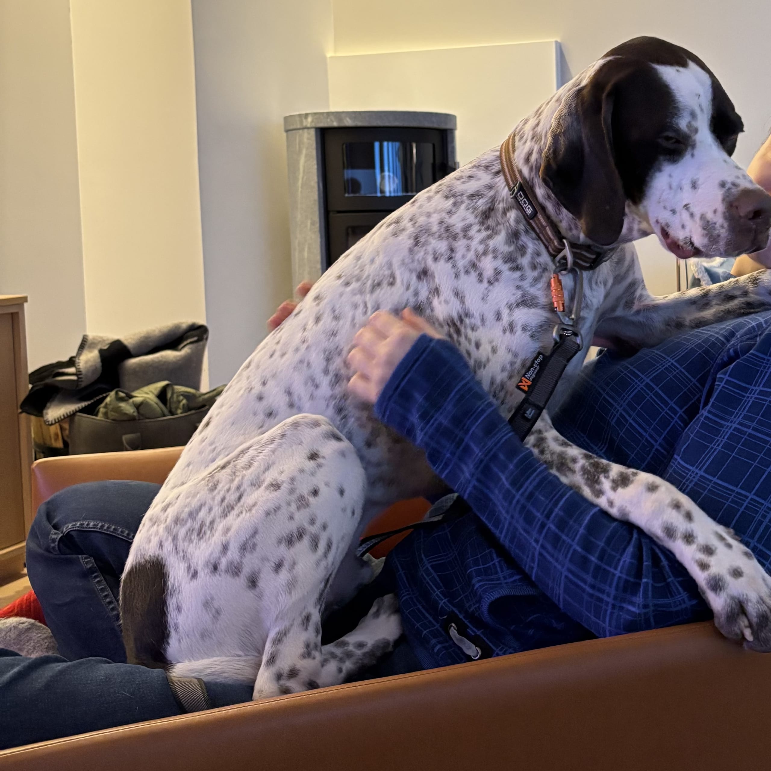 Pointer