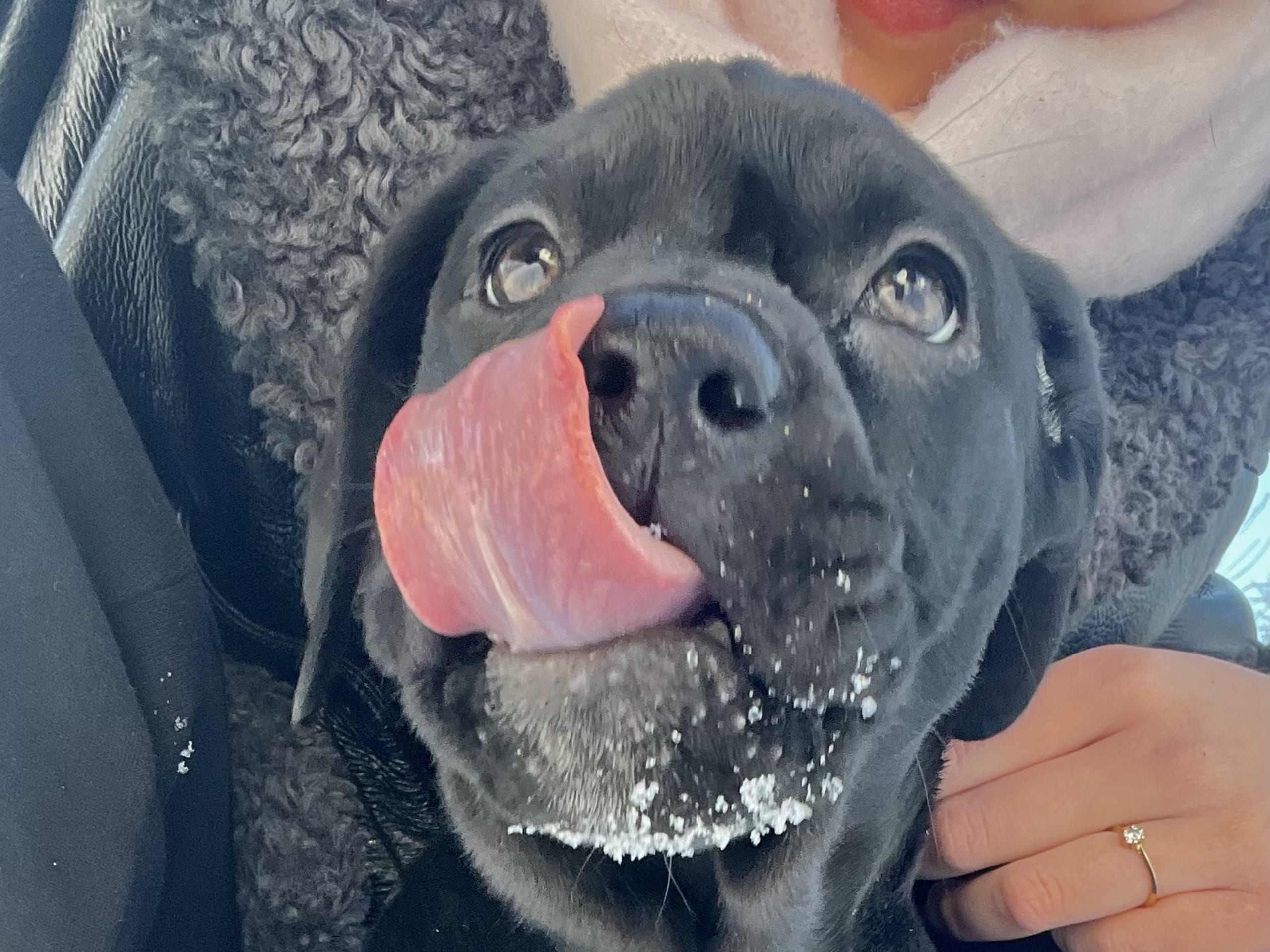 Blandras · 2025-12-07 · Frillesås · Weronika Z.