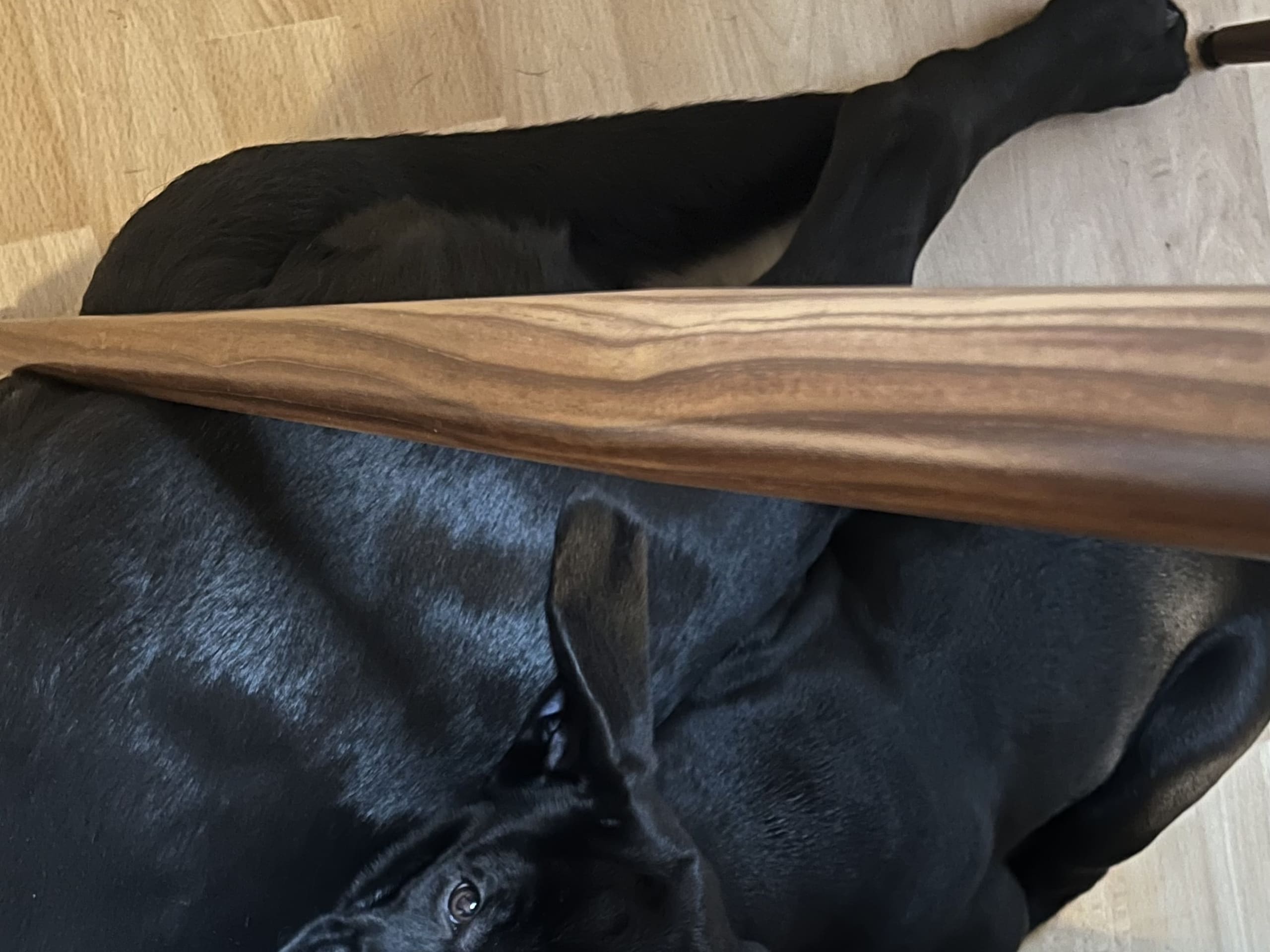 Blandras · 2025-12-07 · Frillesås · Weronika Z.