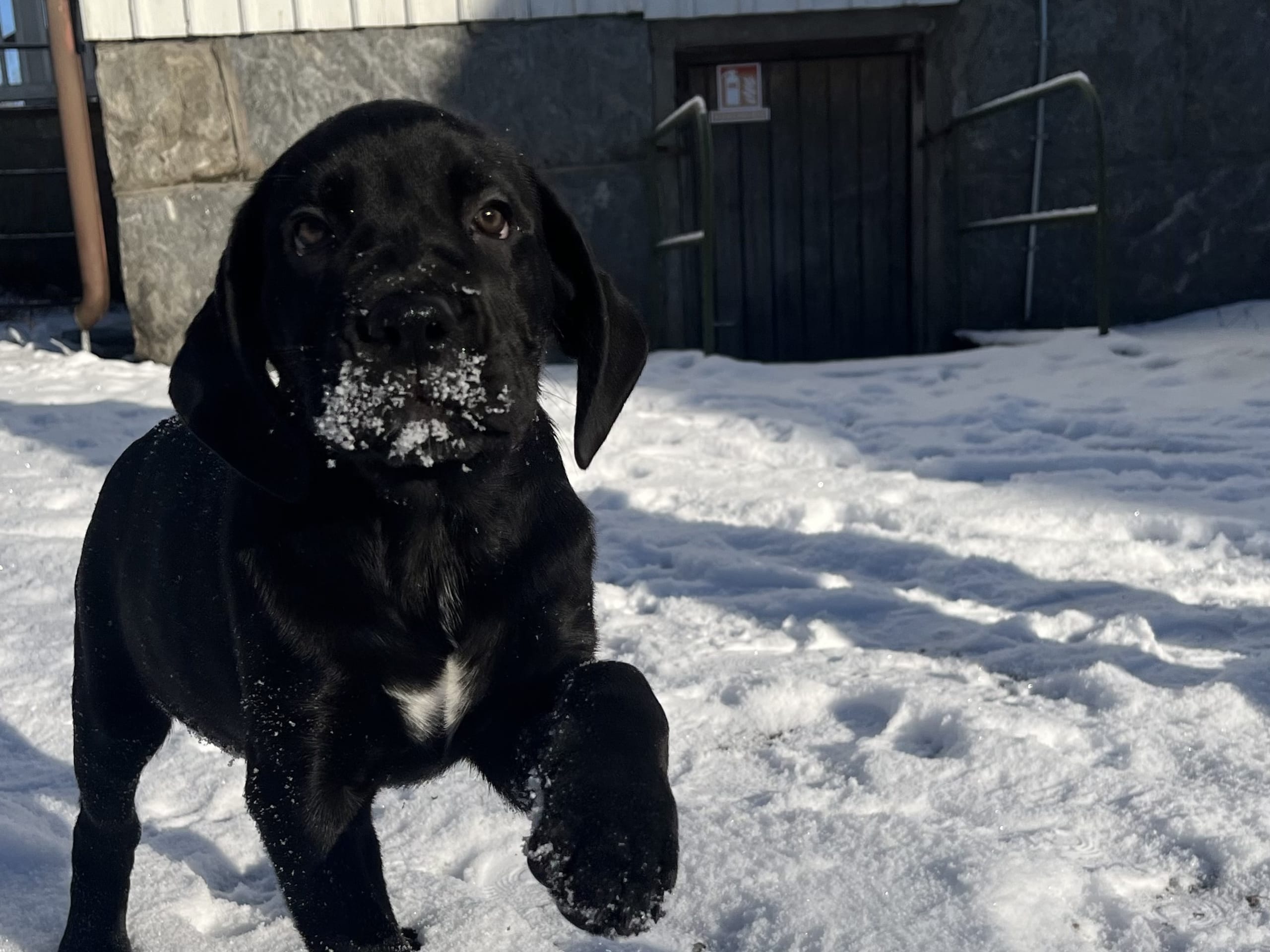 Blandras · 2025-12-07 · Frillesås · Weronika Z.