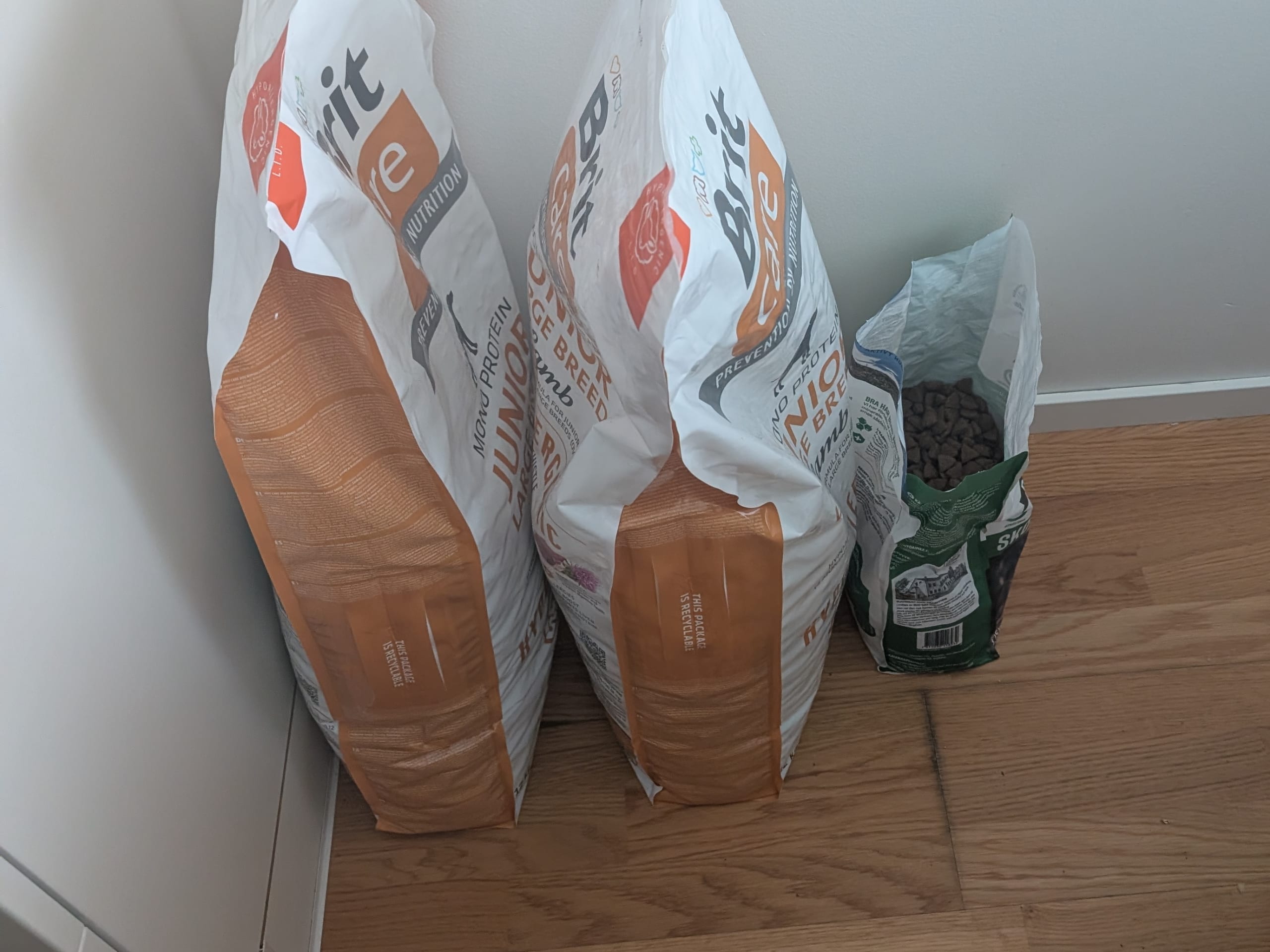 American bully · 2025-06-09 · Norrköping · Jonathan B.