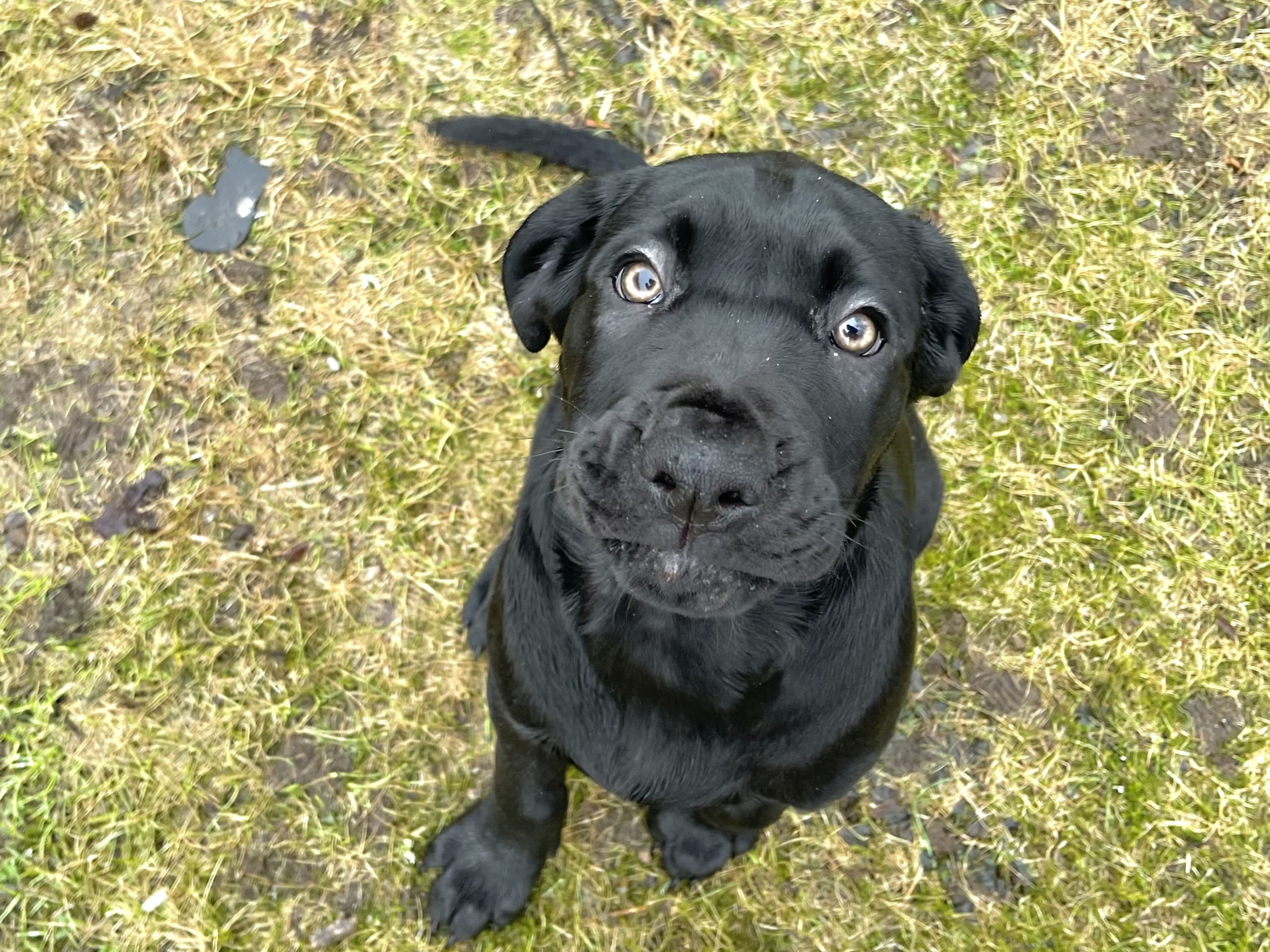 Blandras · 2025-12-07 · Frillesås · Weronika Z.