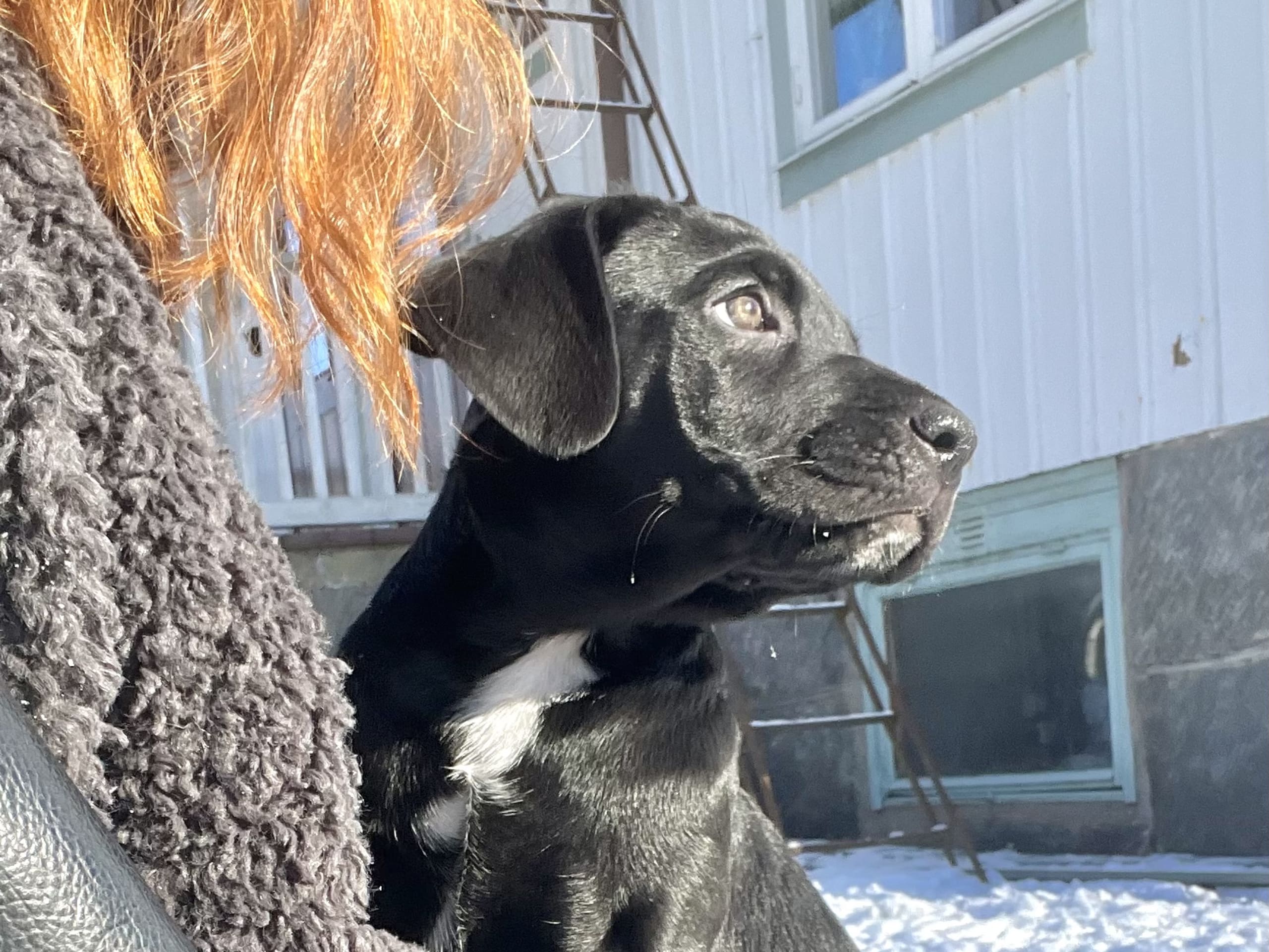 Blandras · 2025-12-07 · Frillesås · Weronika Z.