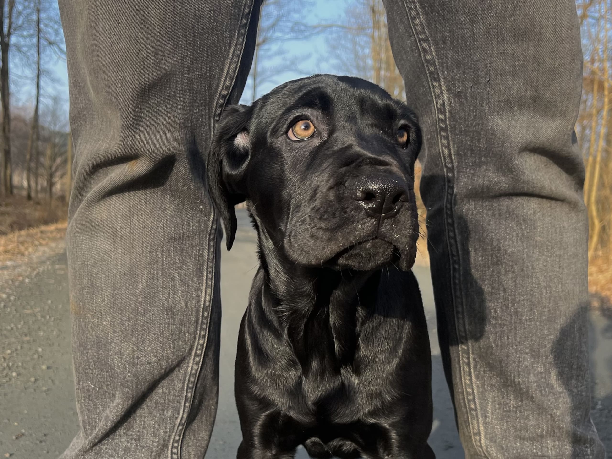 Blandras · 2025-12-07 · Frillesås · Weronika Z.